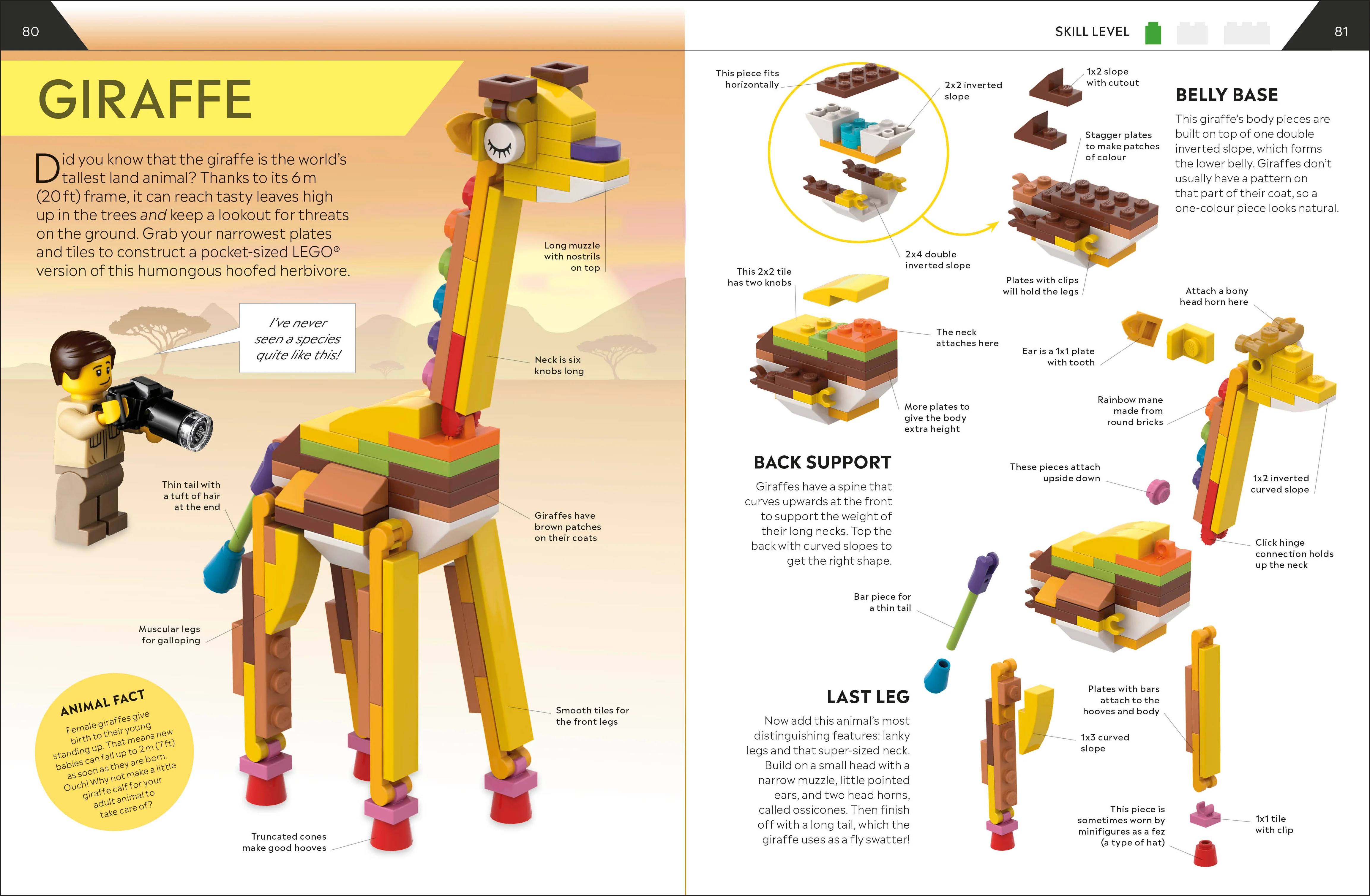 LEGO How to Build Everything! - Image 4