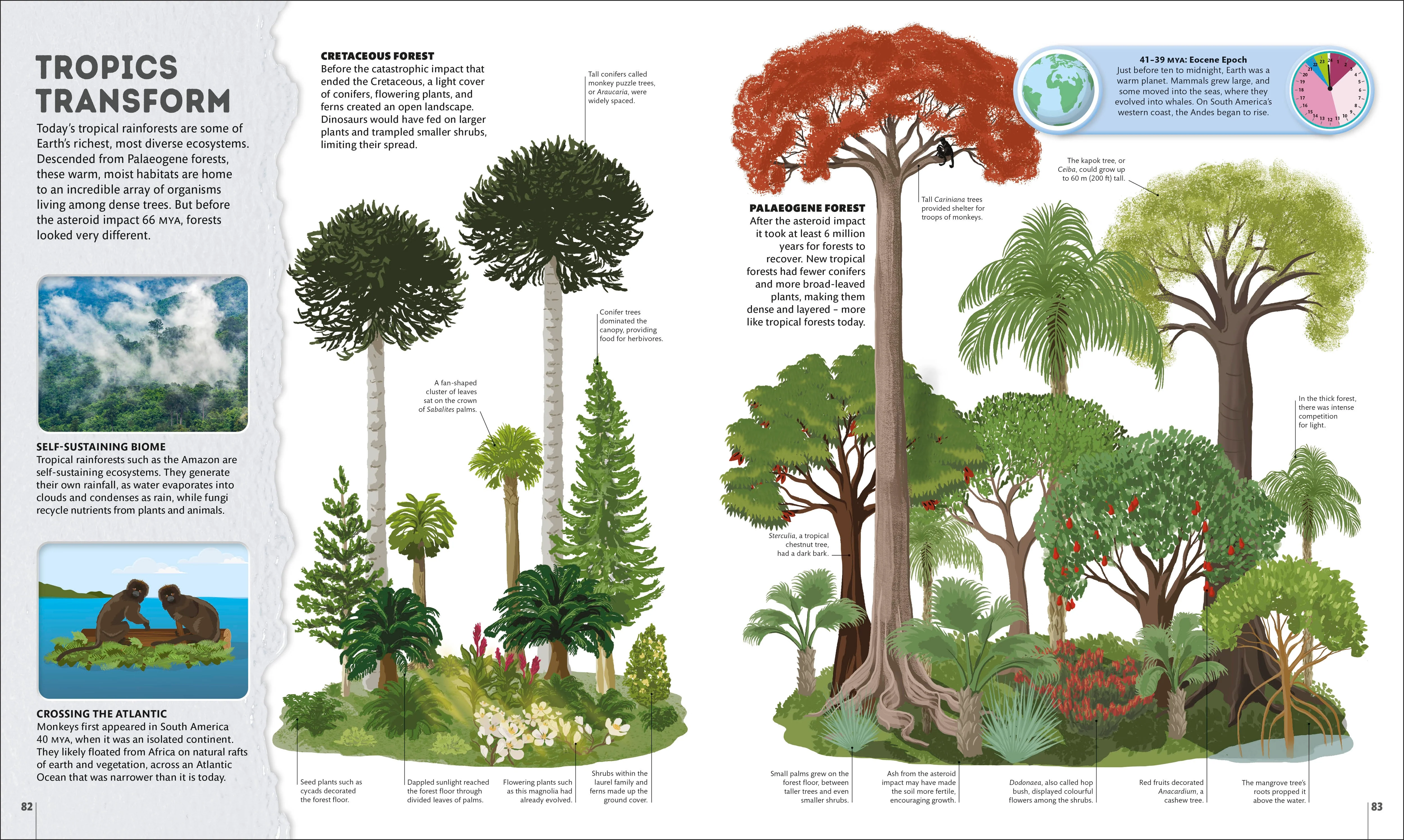 Planet Earth: A 4.5 Billion Year Story - Image 6