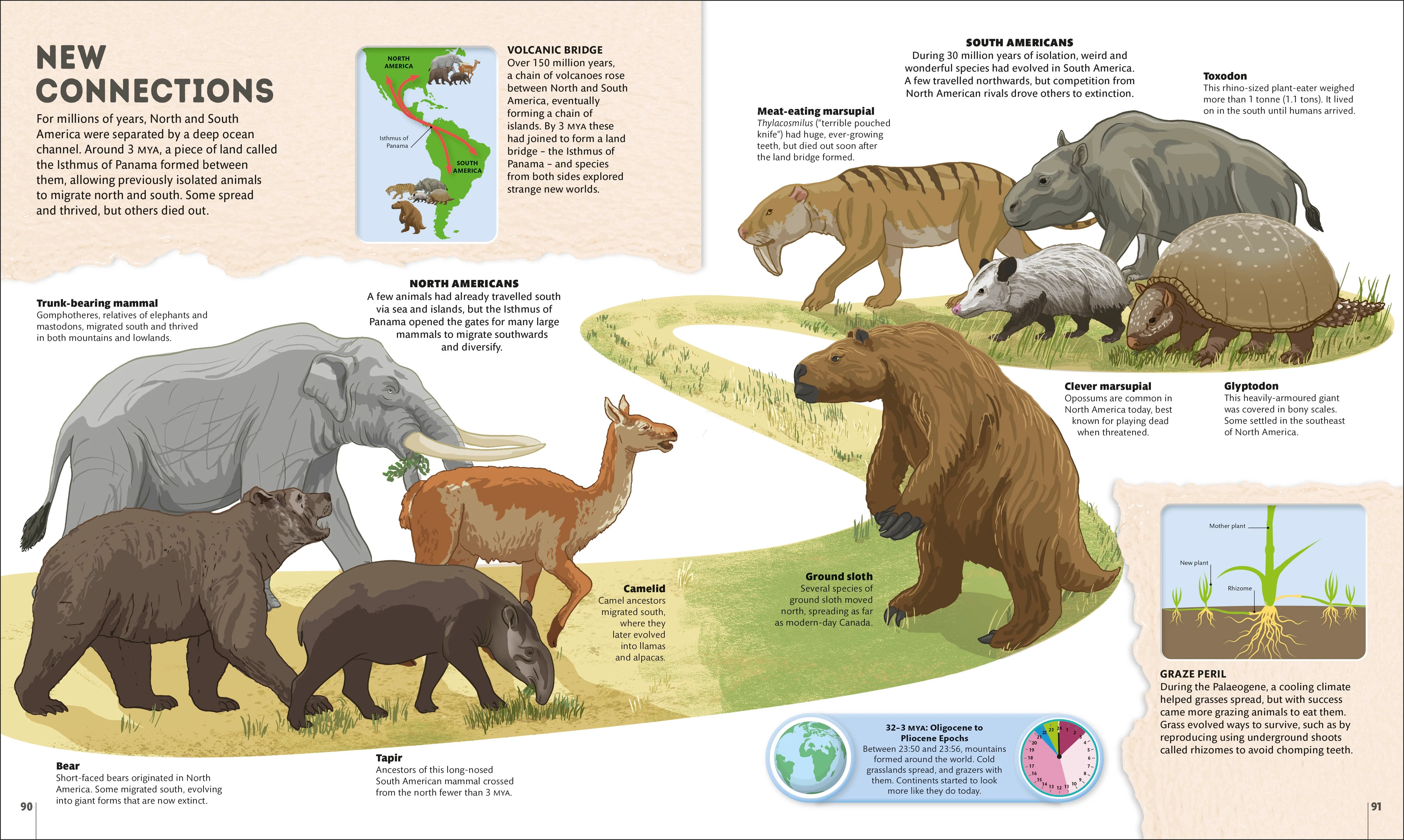 Planet Earth: A 4.5 Billion Year Story - Image 7
