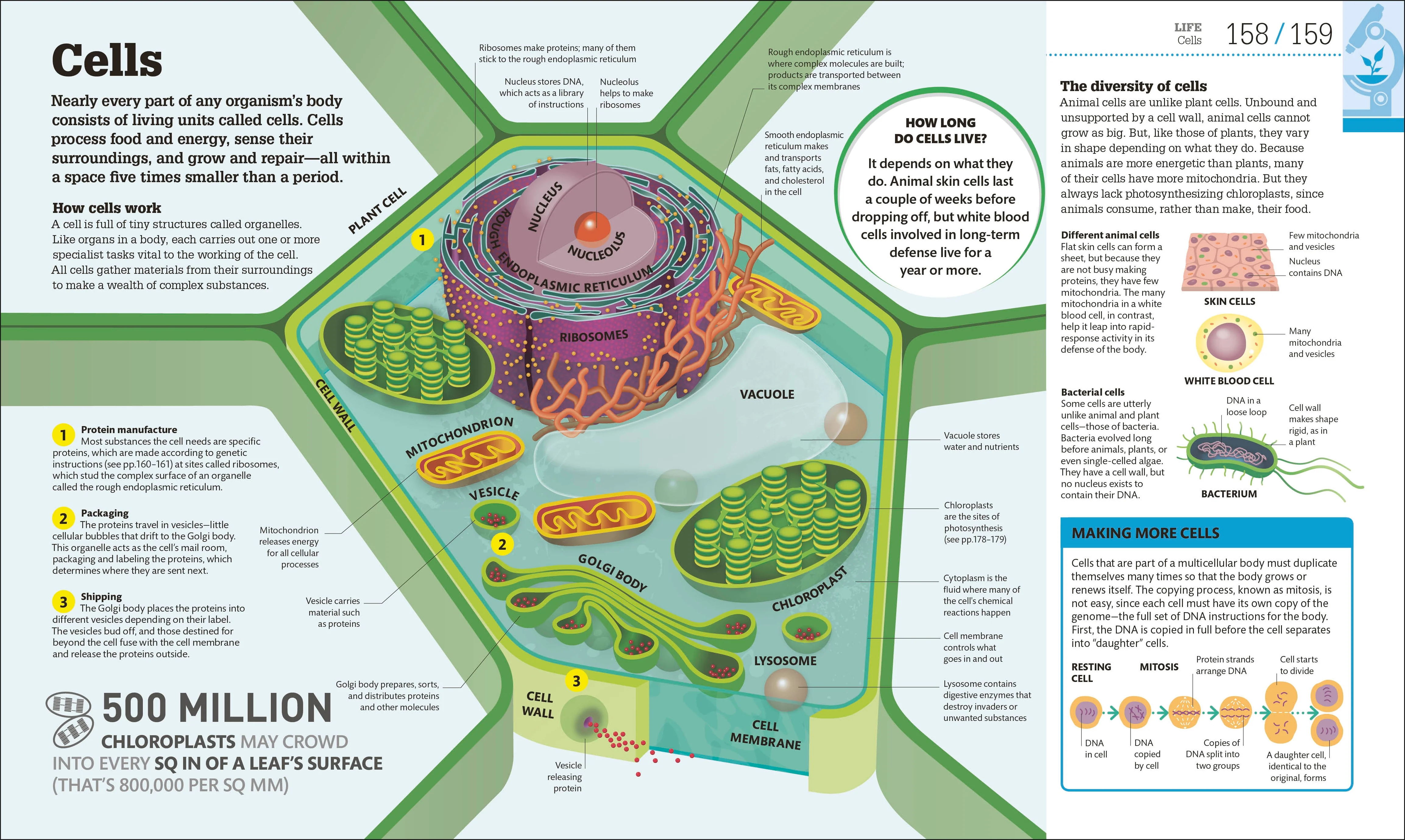 How Science Works - Image 2