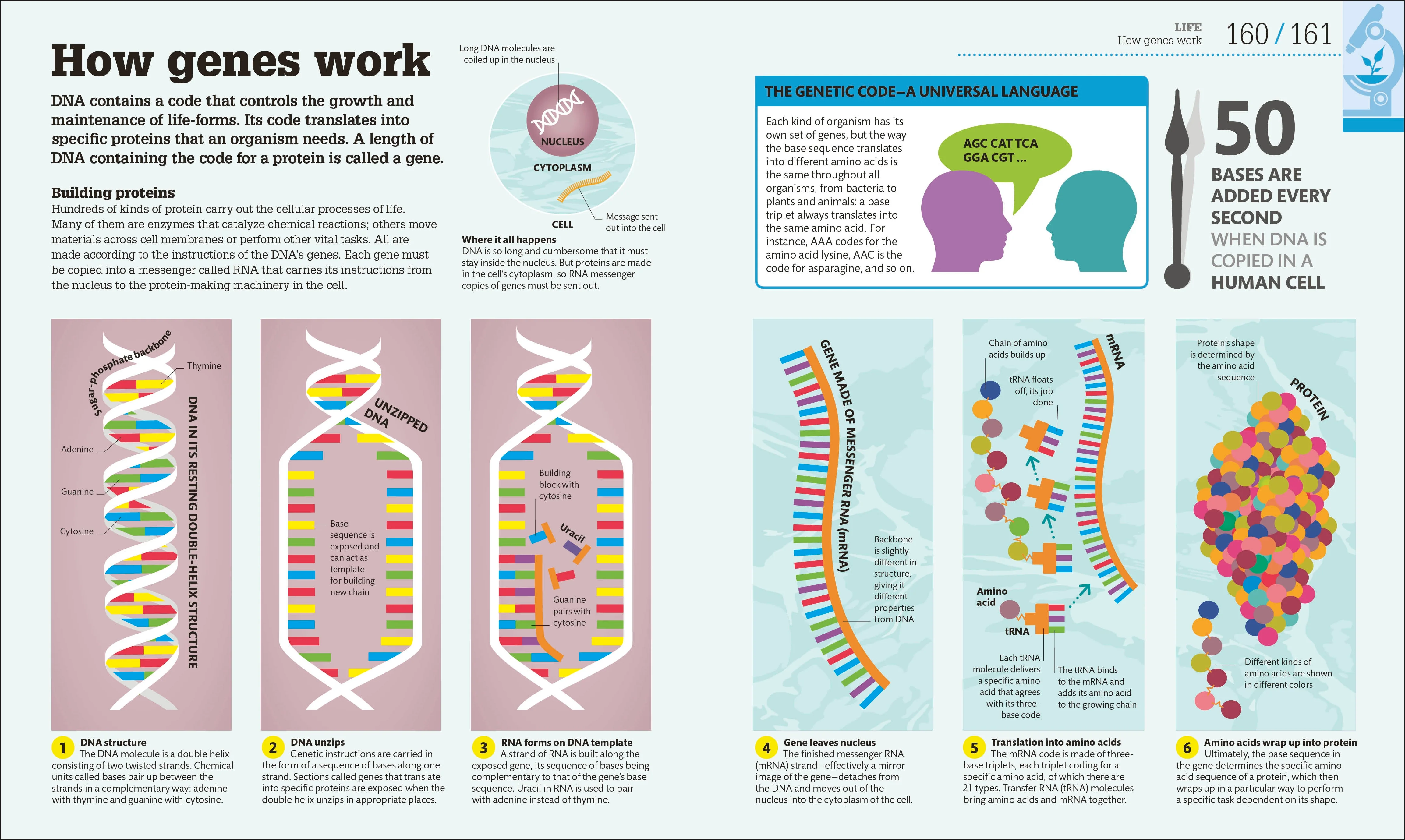 How Science Works - Image 3