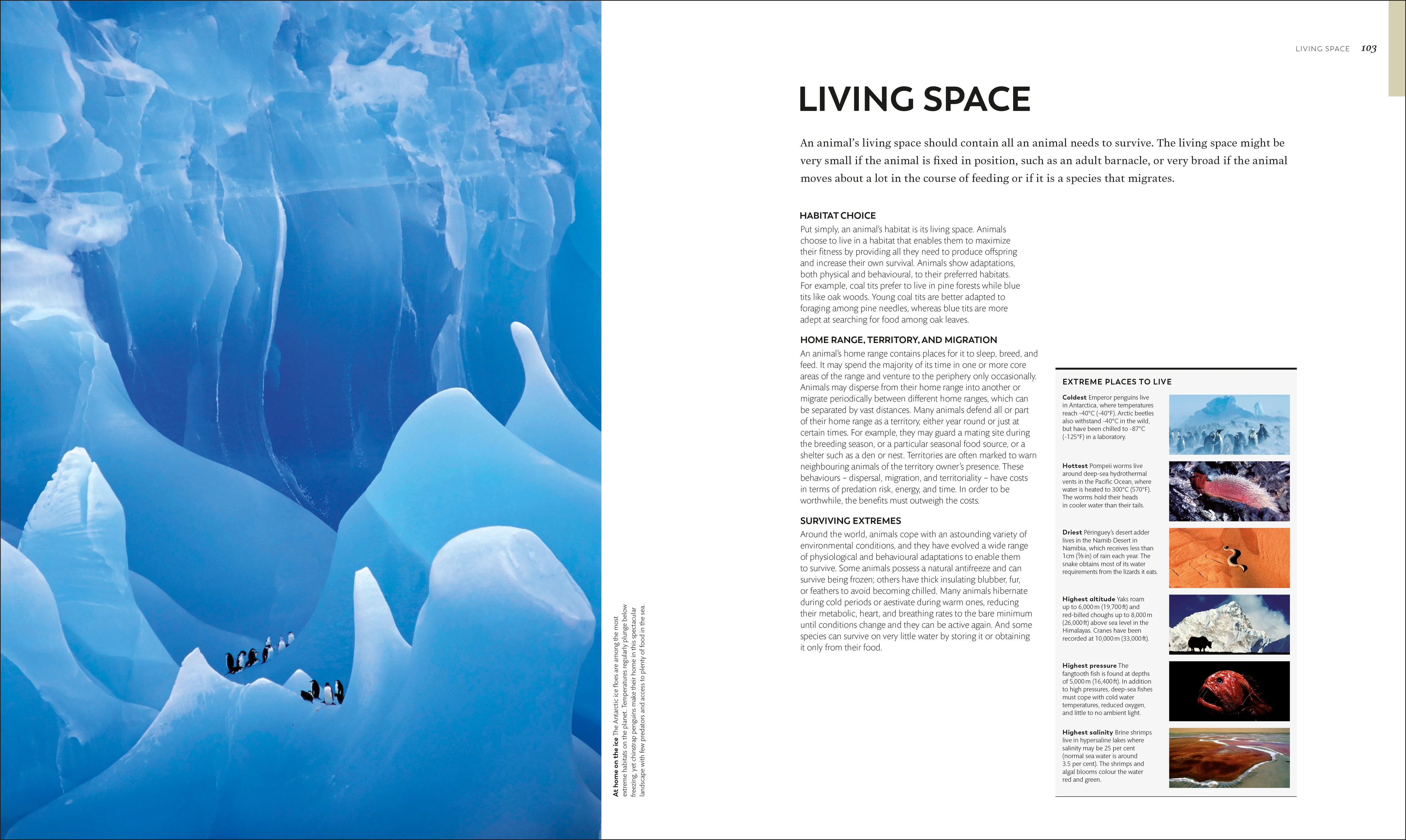 Animal Behaviour - Image 3