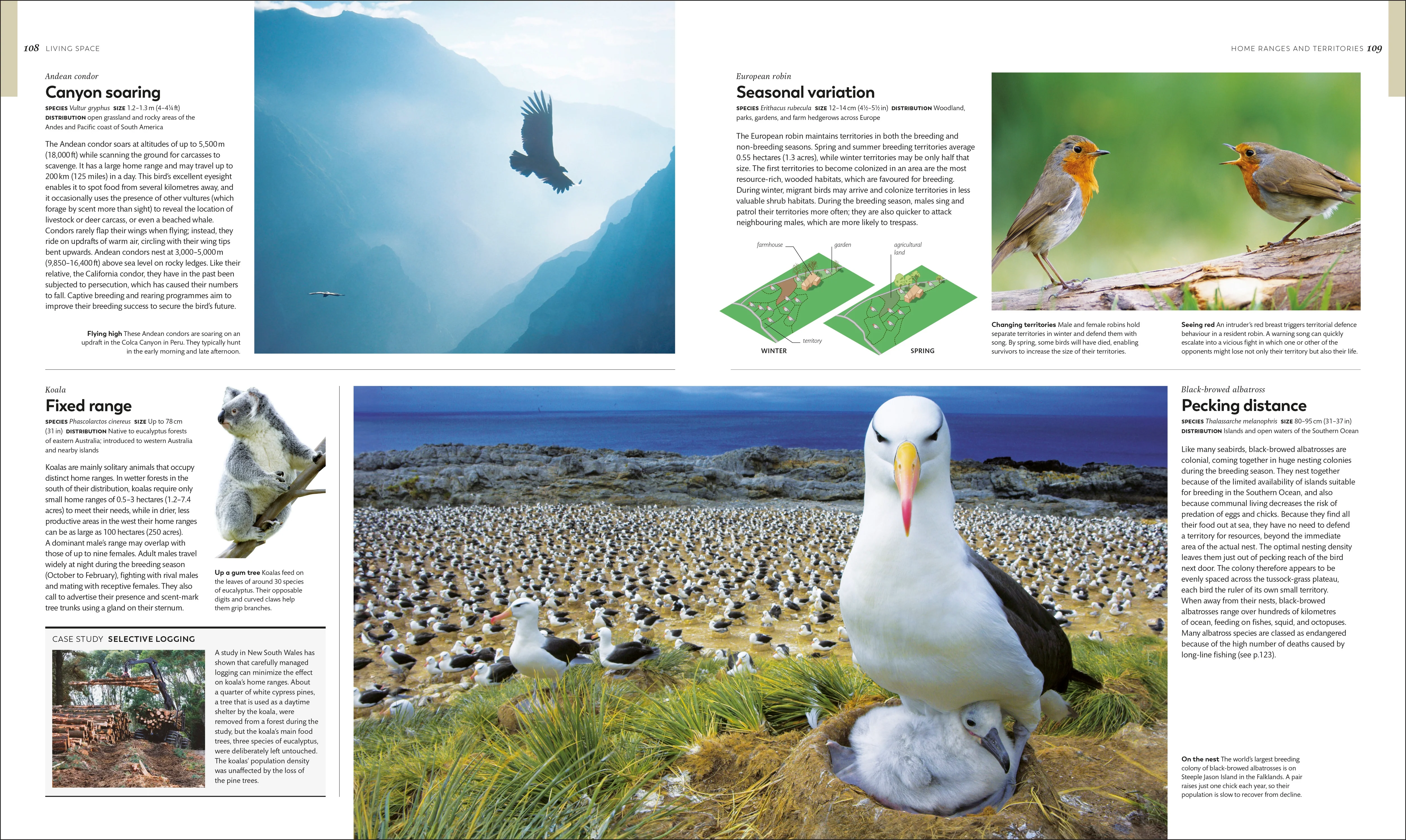 Animal Behaviour - Image 5