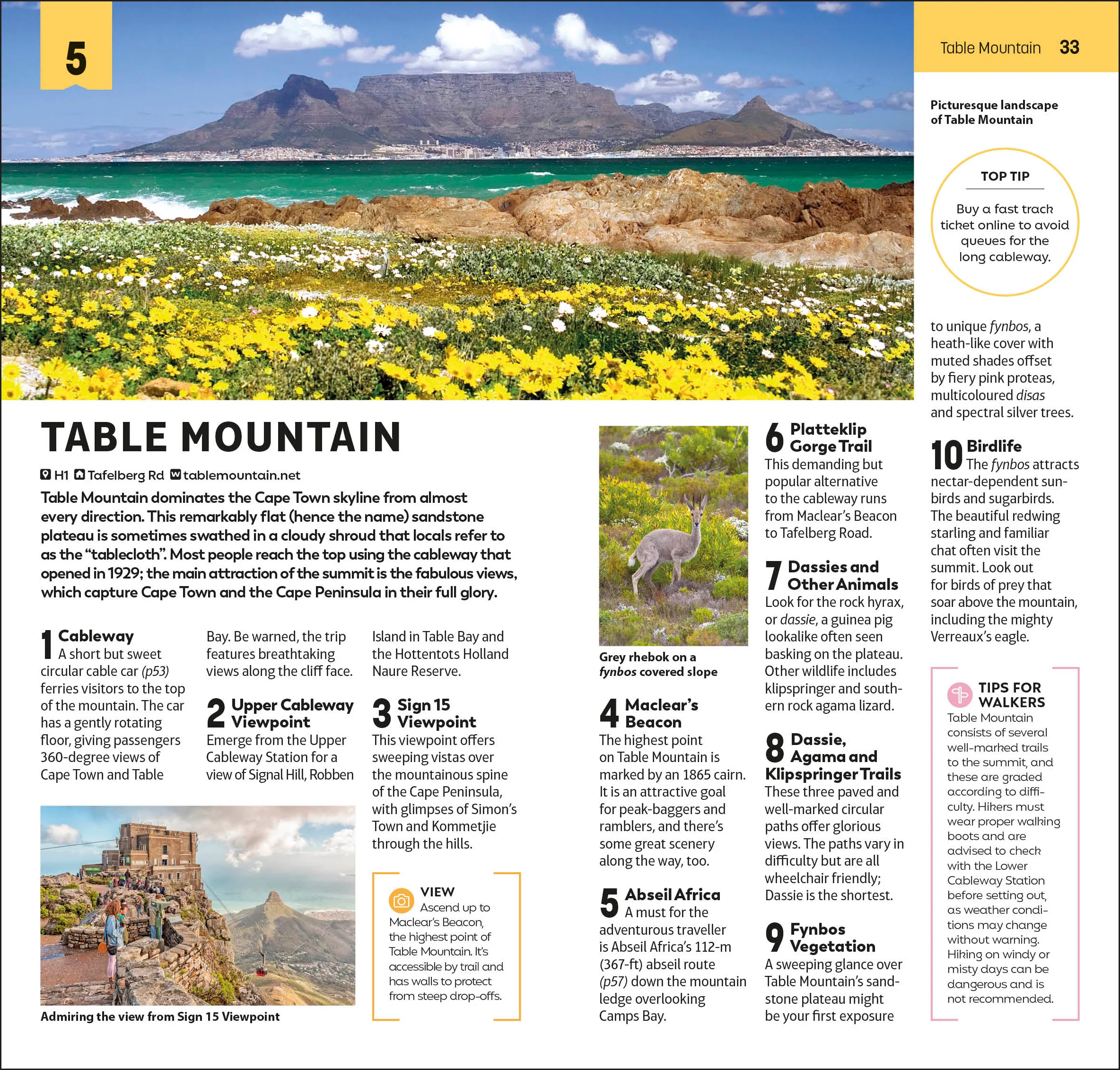 DK Top 10 Cape Town and the Winelands - Image 6