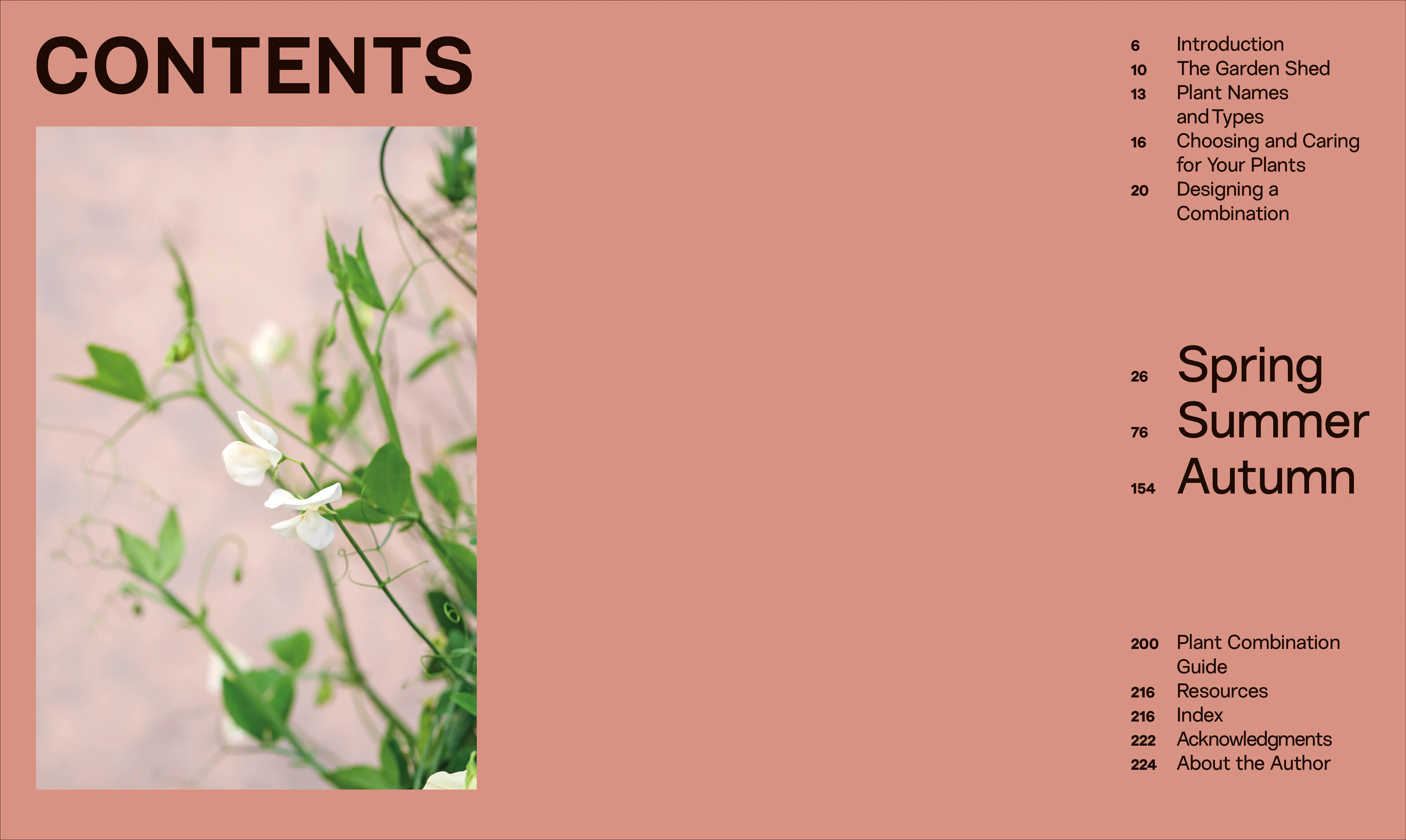 What Grows Together - Image 2