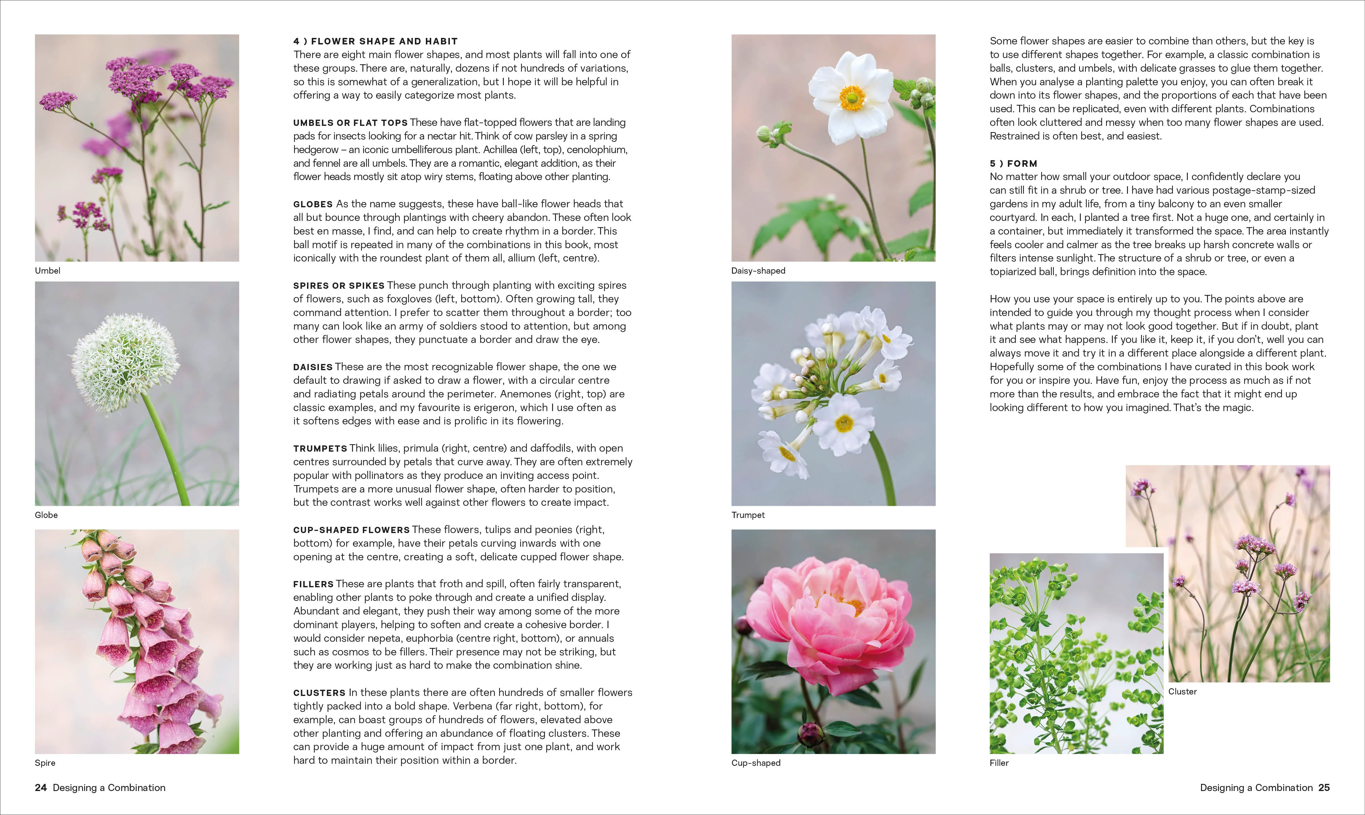What Grows Together - Image 3