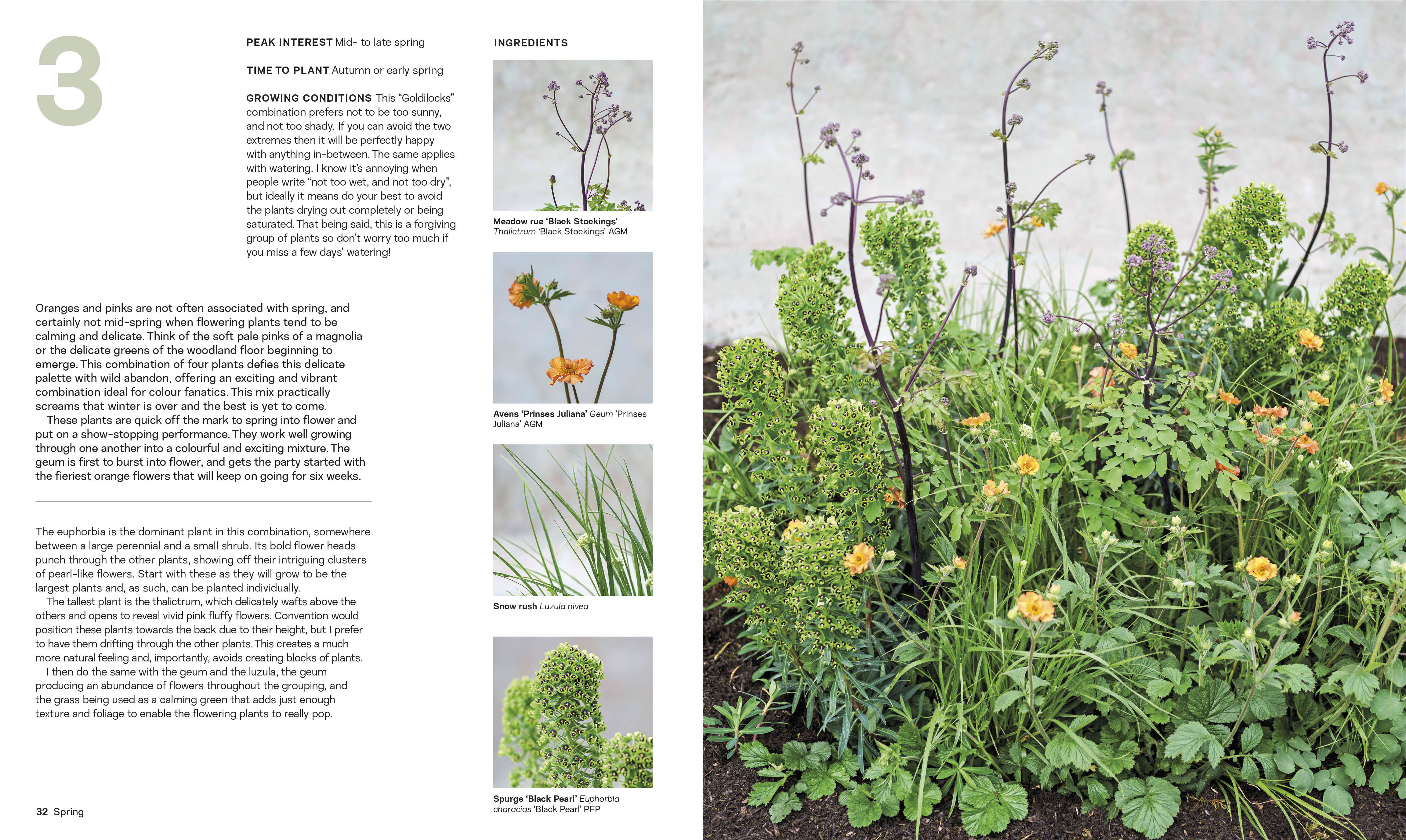 What Grows Together - Image 4