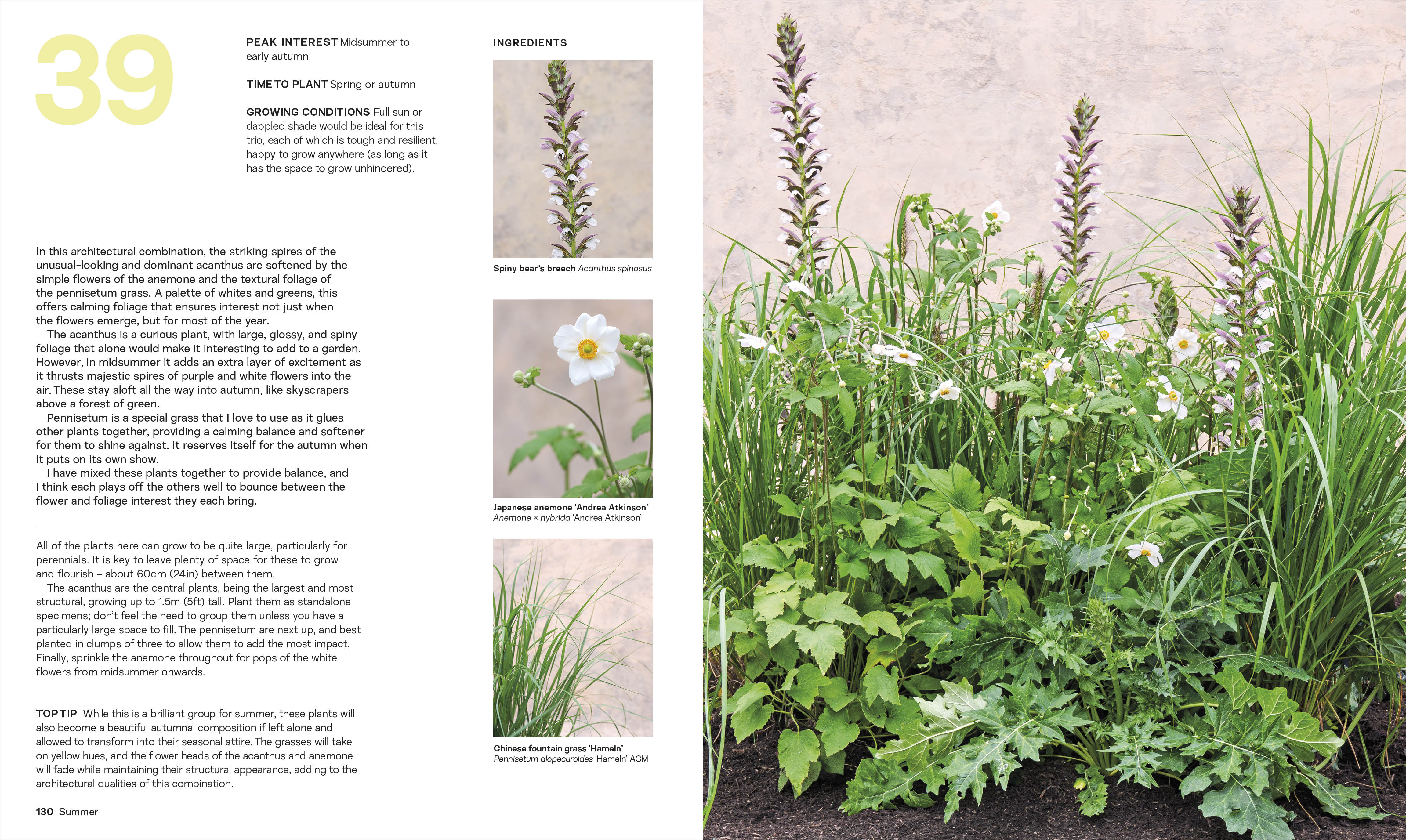 What Grows Together - Image 5