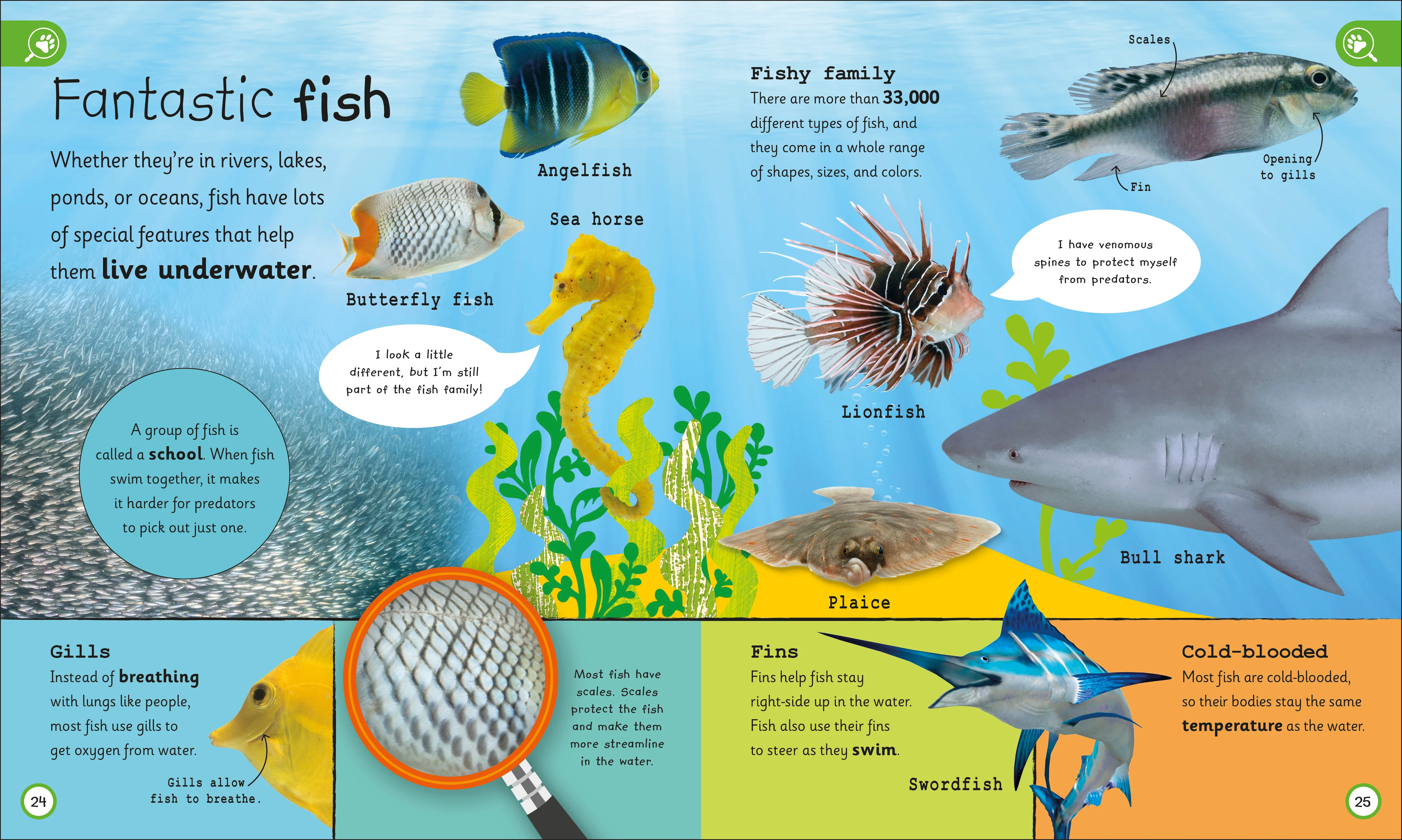 My Encyclopedia of Very Important Animals - Image 2