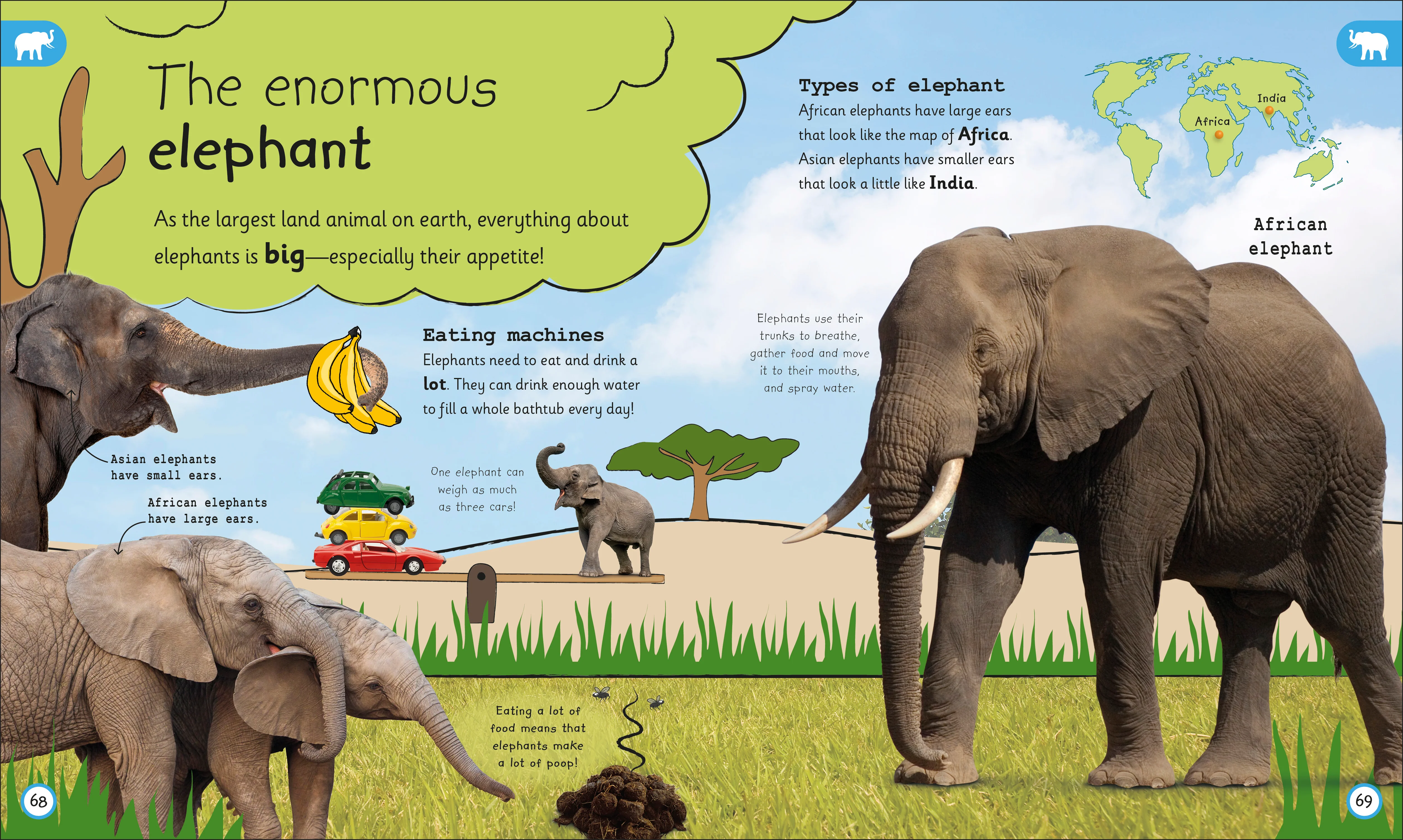 My Encyclopedia of Very Important Animals - Image 3