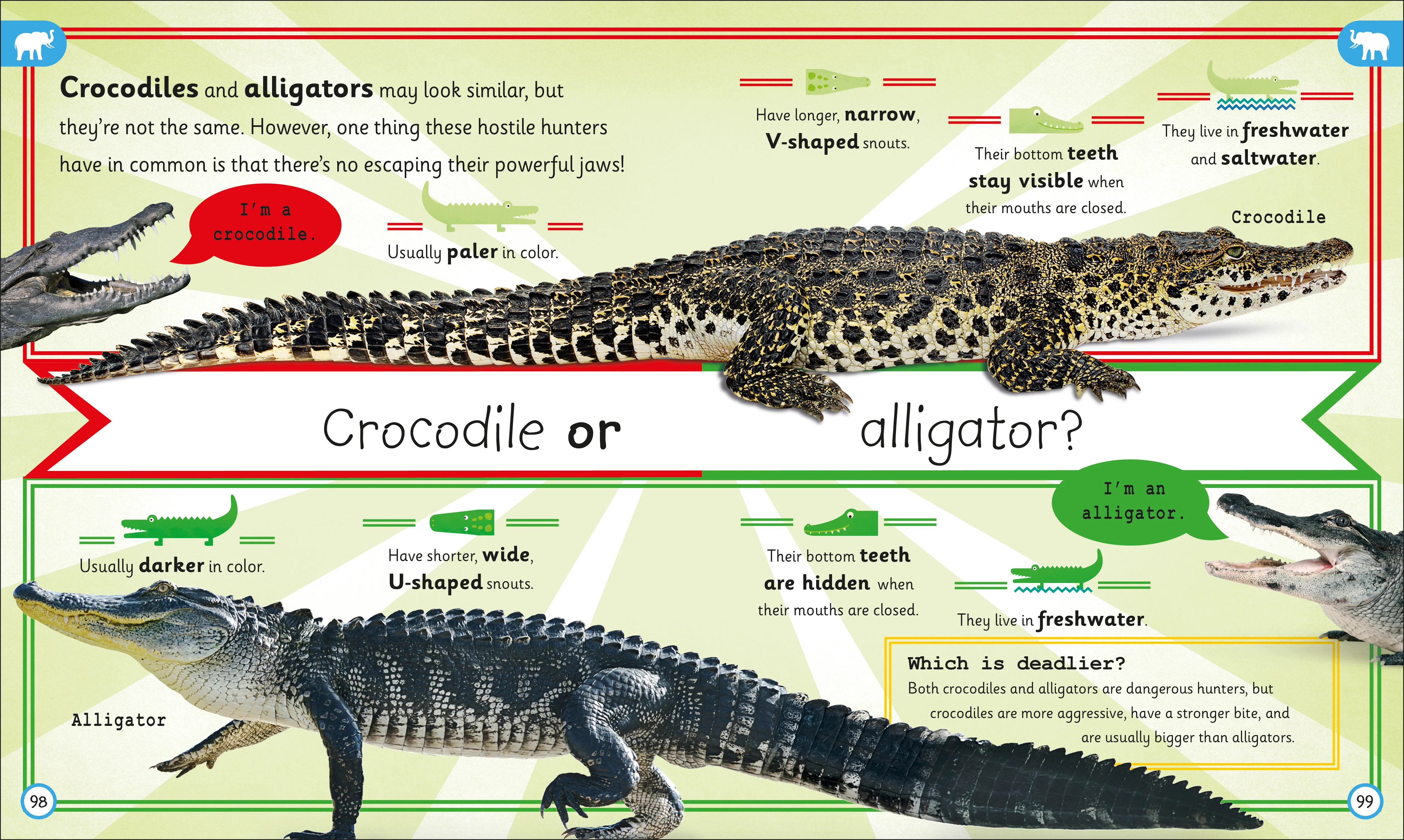 My Encyclopedia of Very Important Animals - Image 4