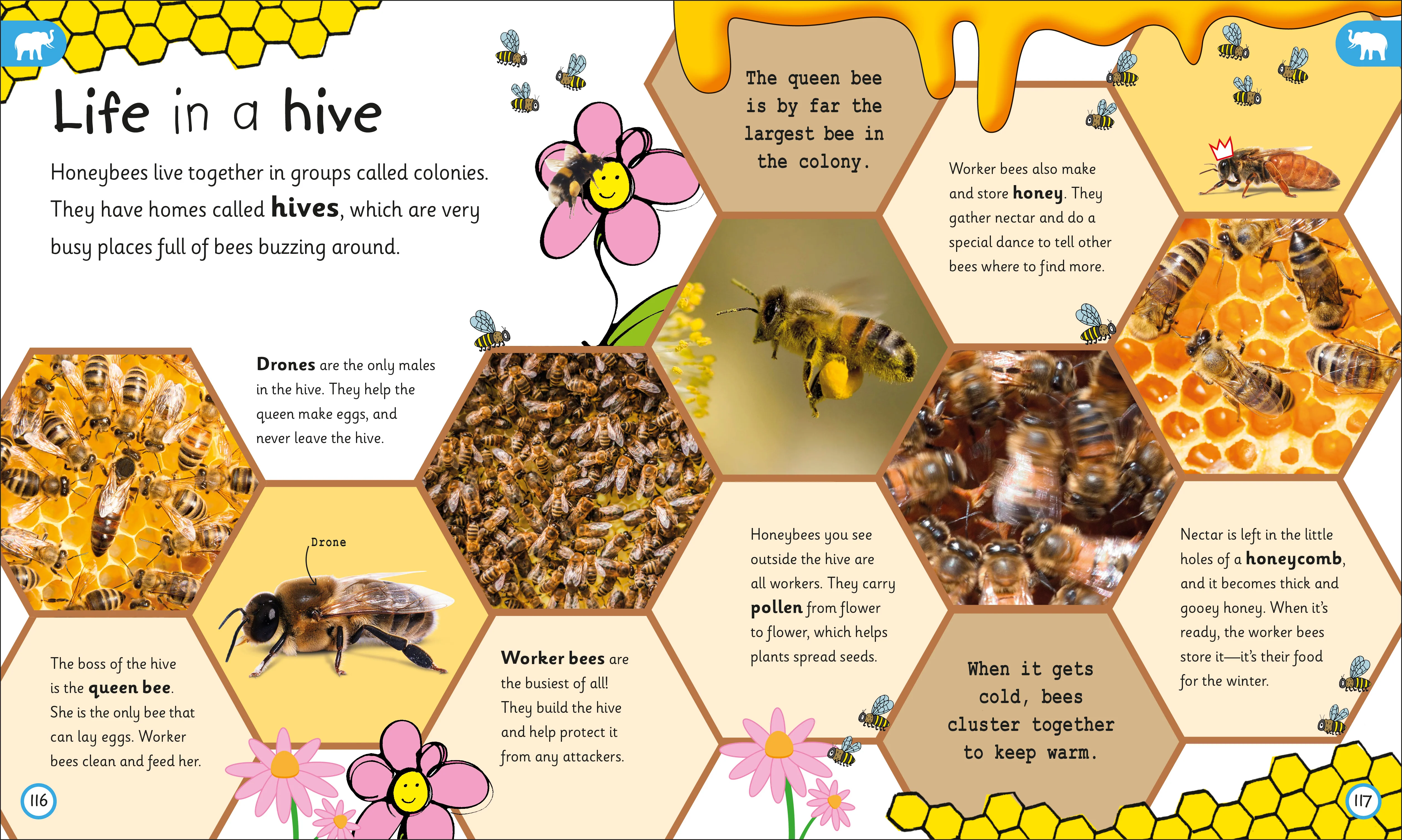 My Encyclopedia of Very Important Animals - Image 5