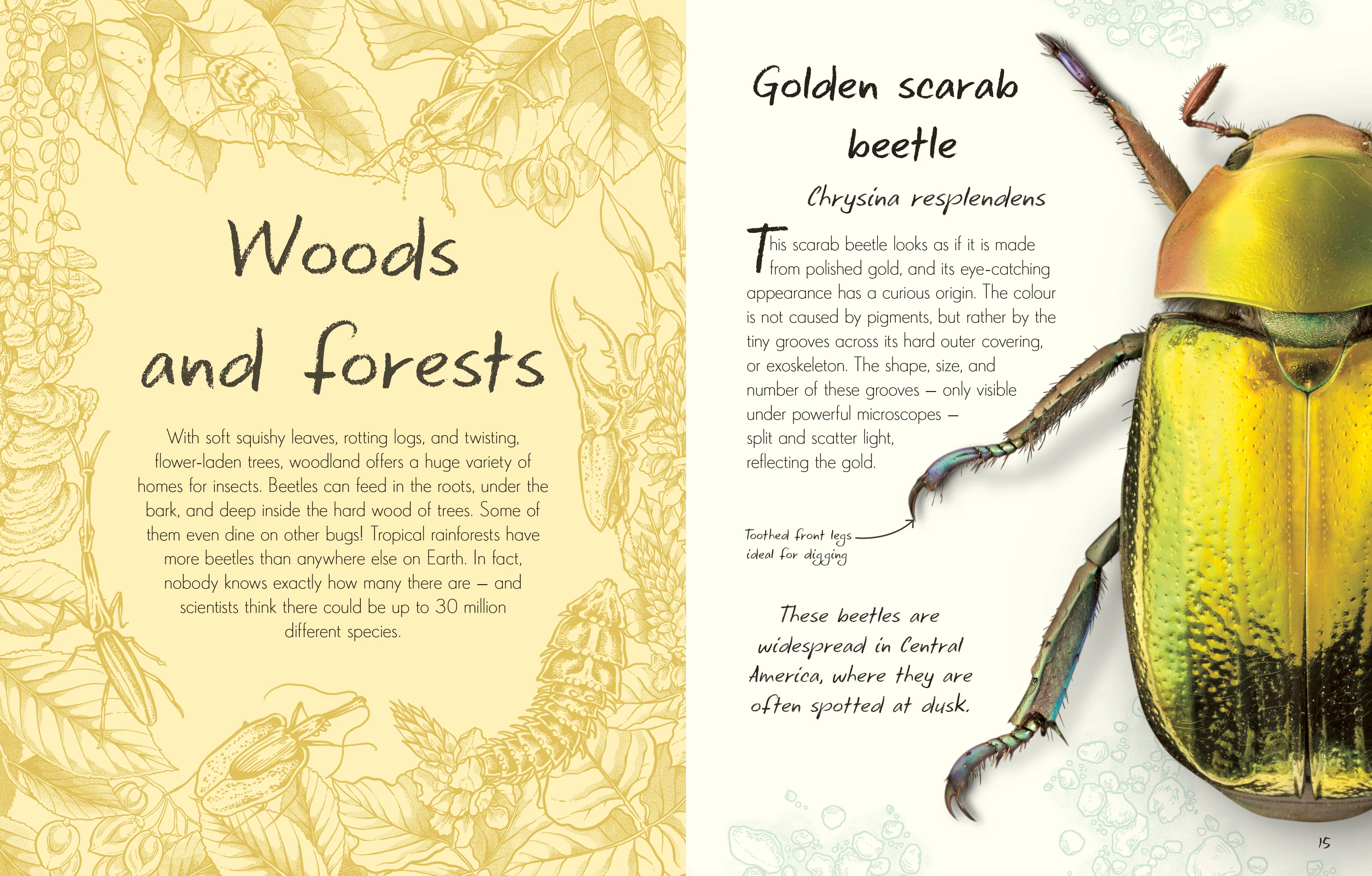 An Anthology of Beetles - Image 2