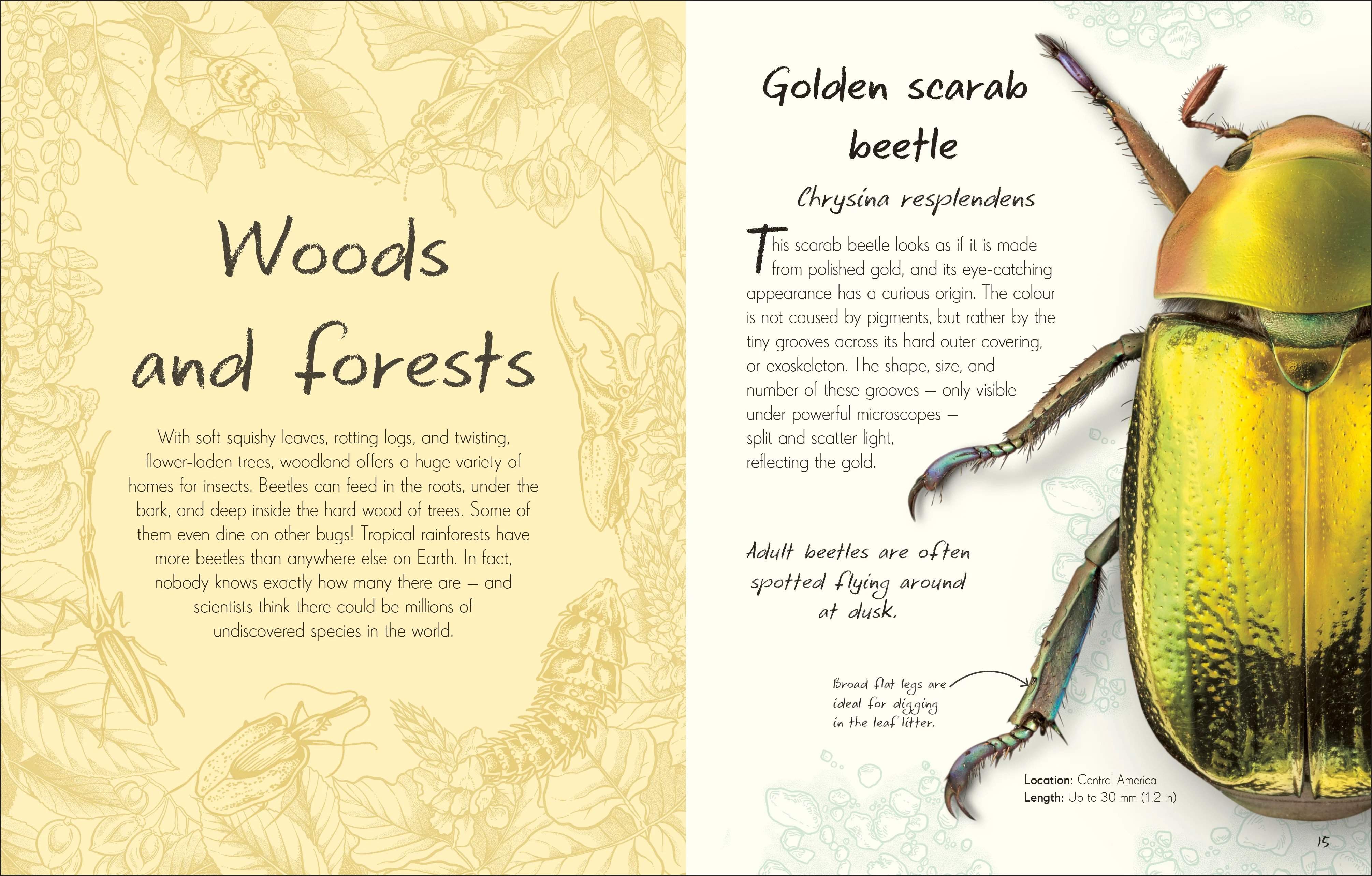 An Anthology of Beetles - Image 5