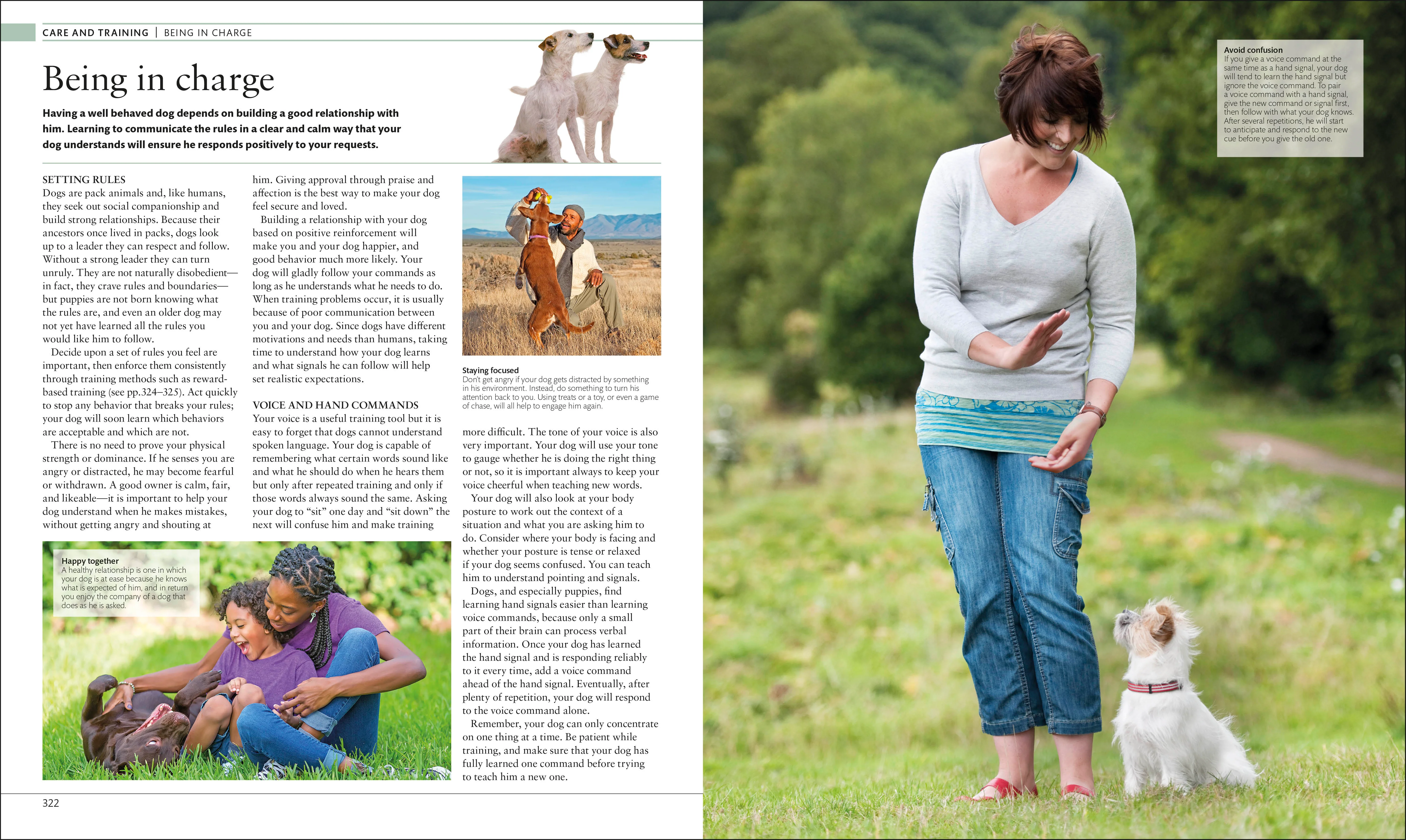 The Dog Encyclopedia - Image 10