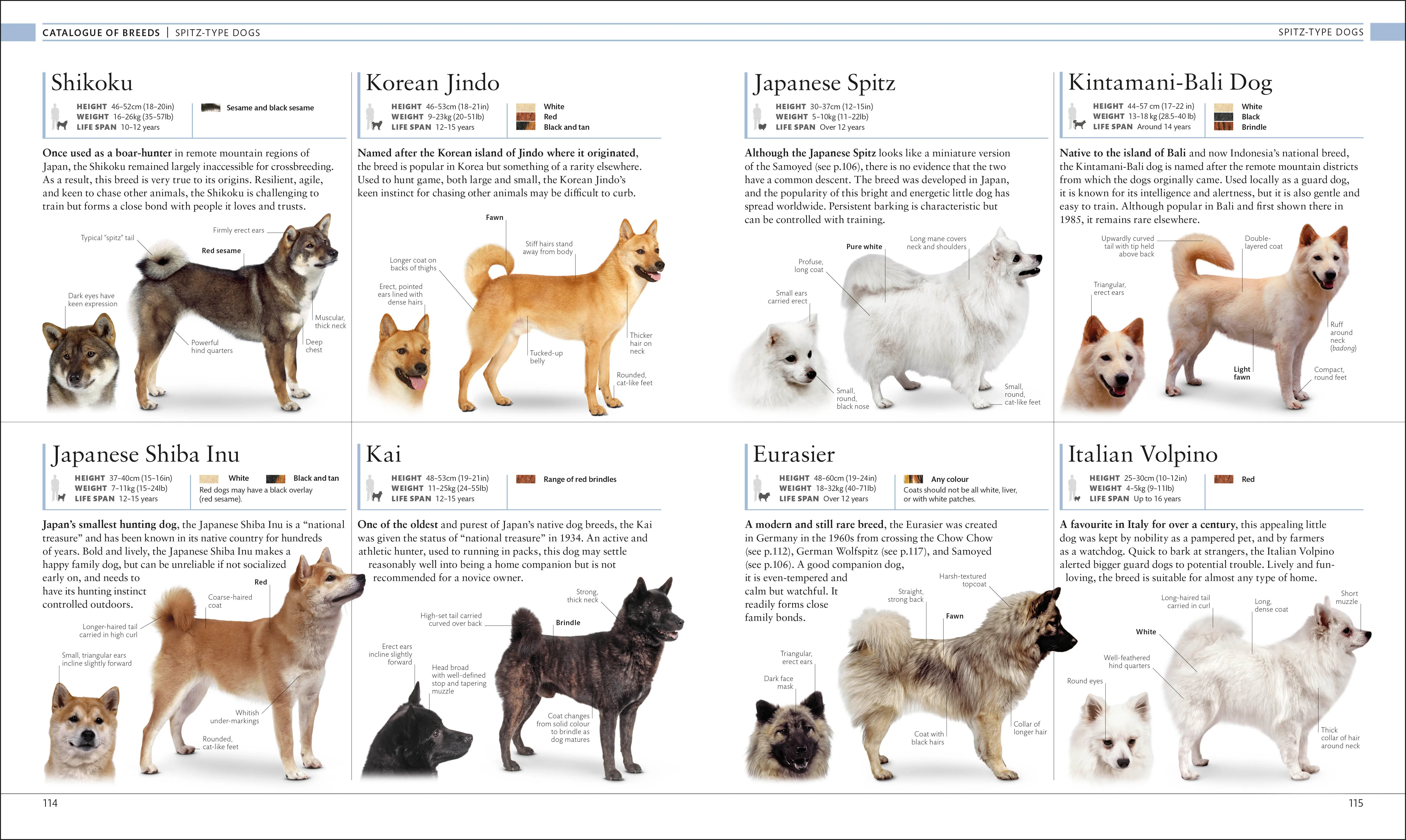 The Dog Encyclopedia - Image 14