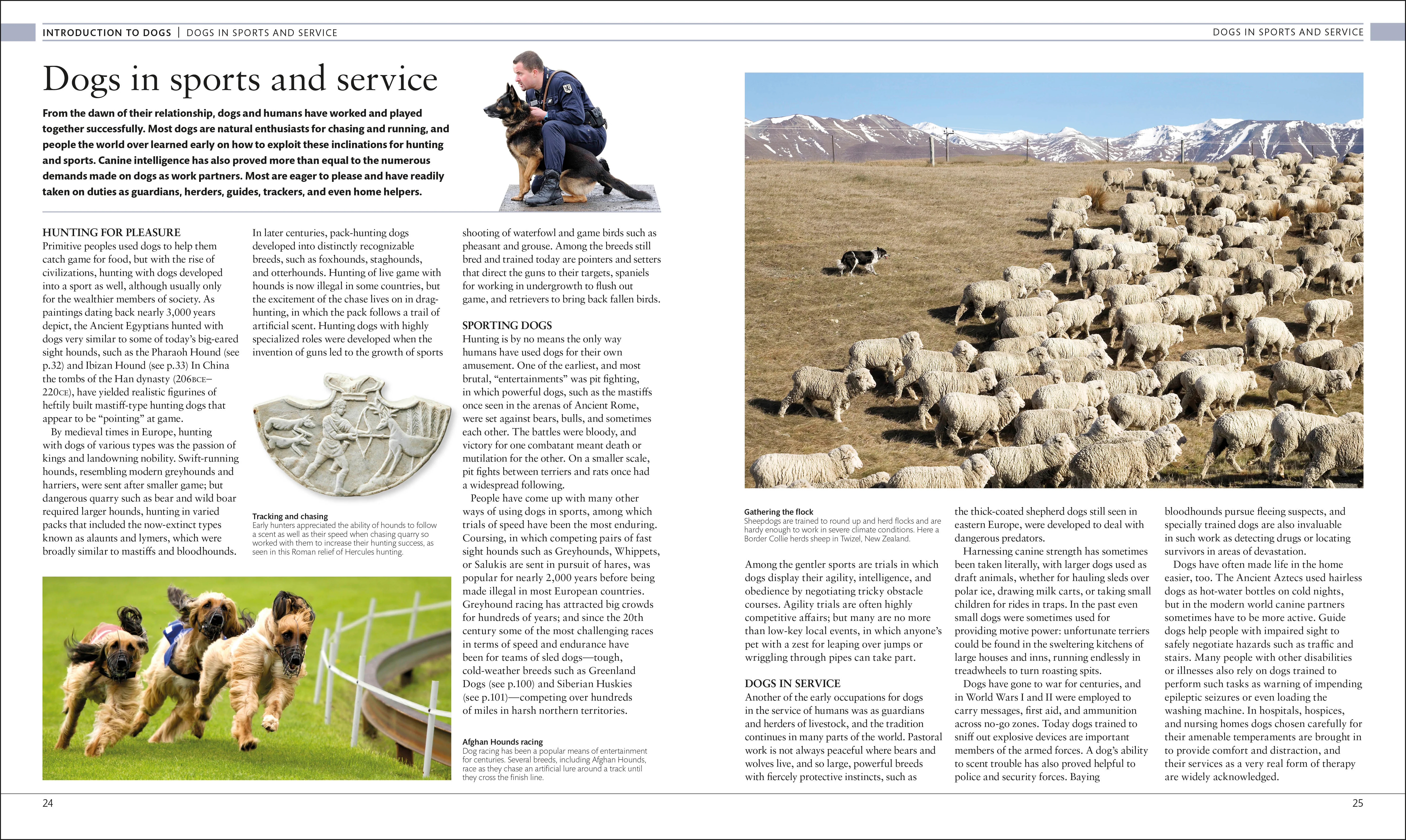 The Dog Encyclopedia - Image 2