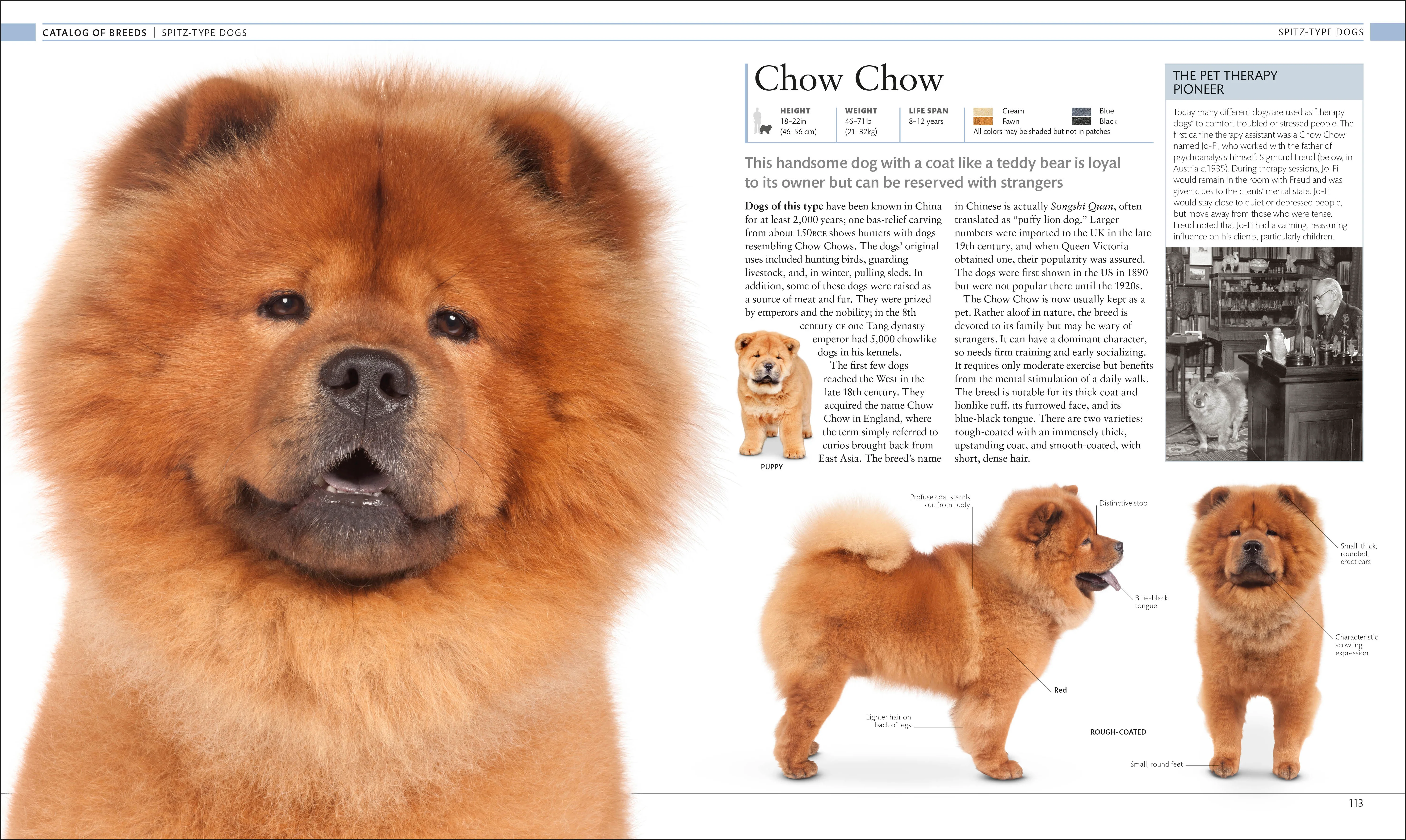 The Dog Encyclopedia - Image 4