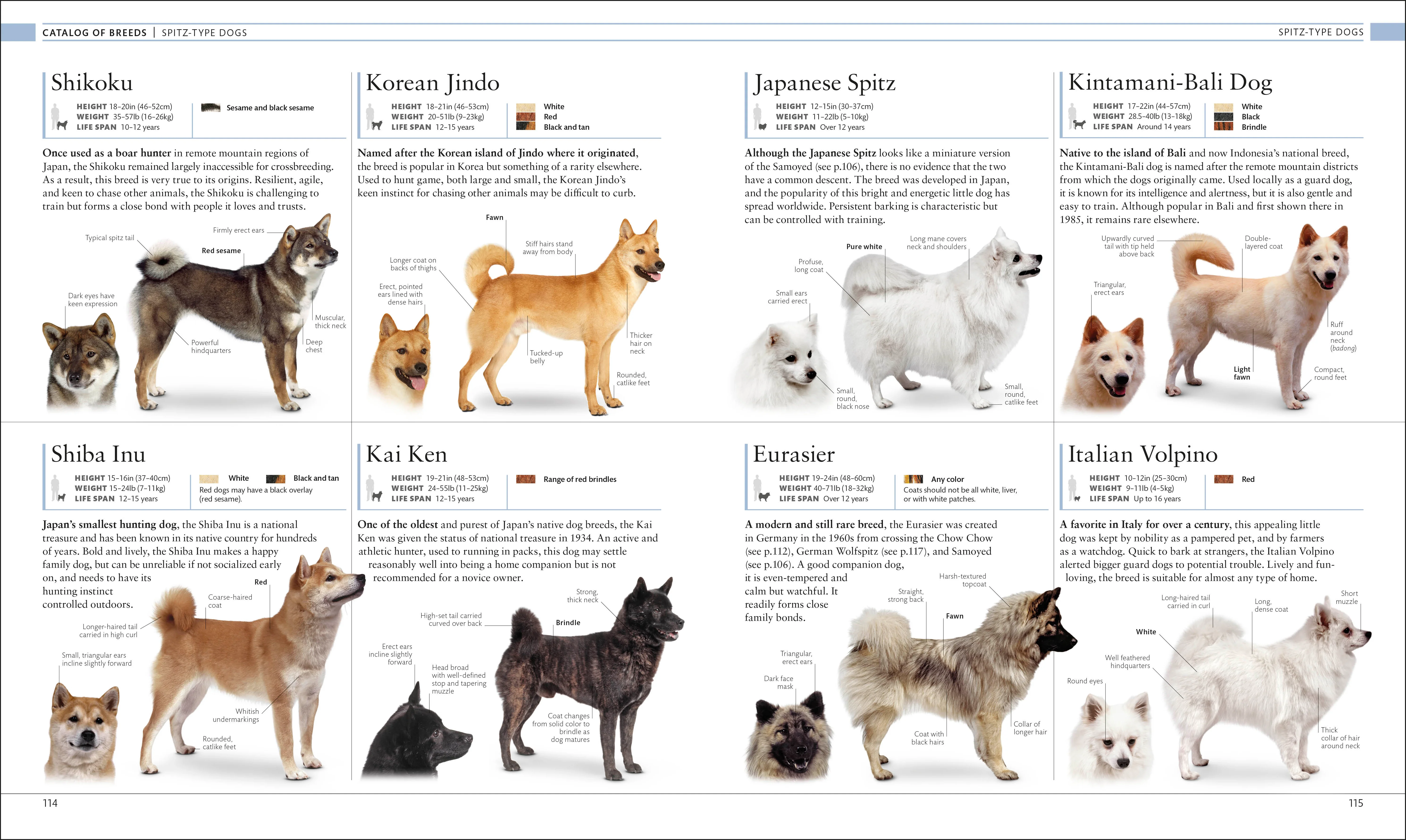 The Dog Encyclopedia - Image 5