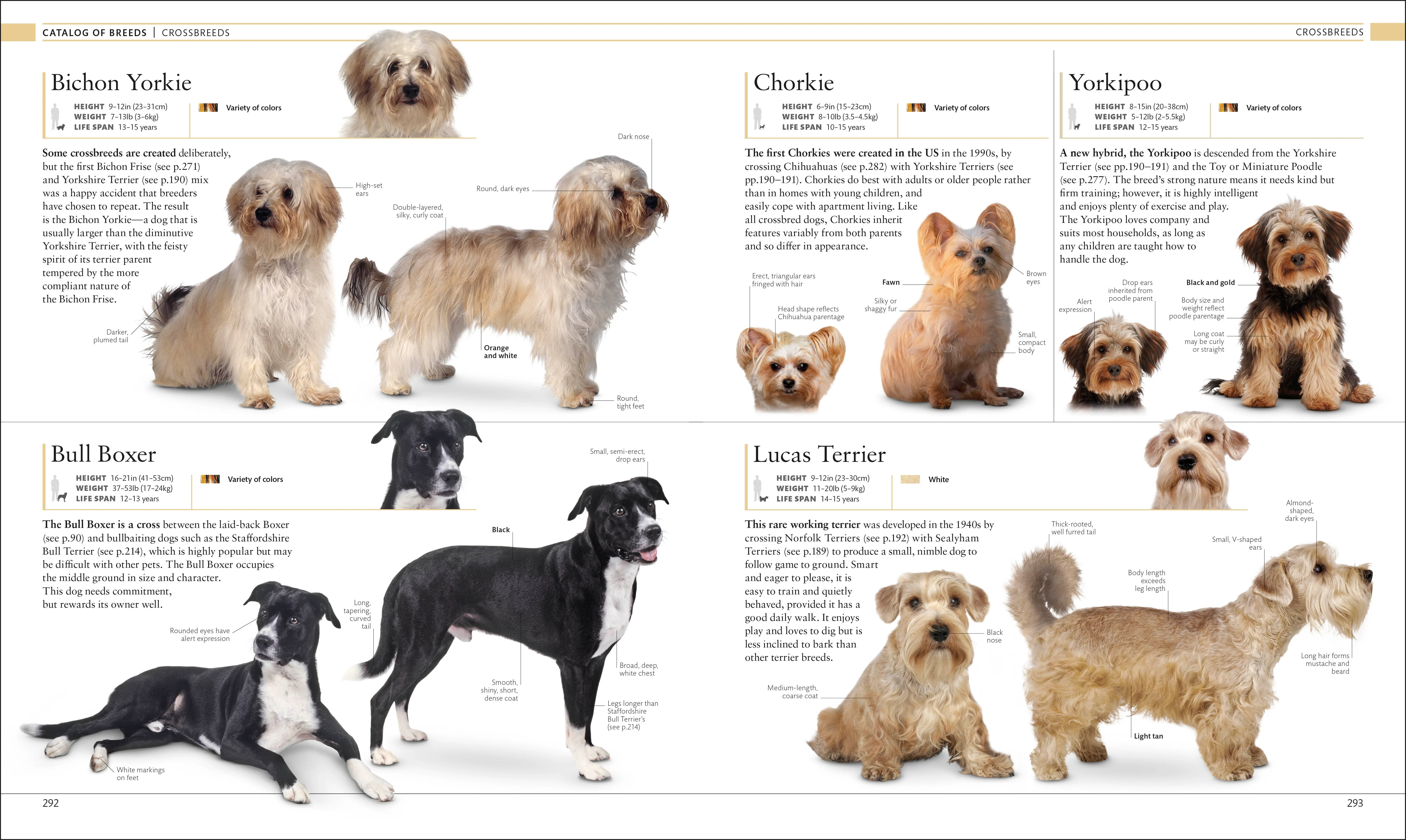The Dog Encyclopedia - Image 9