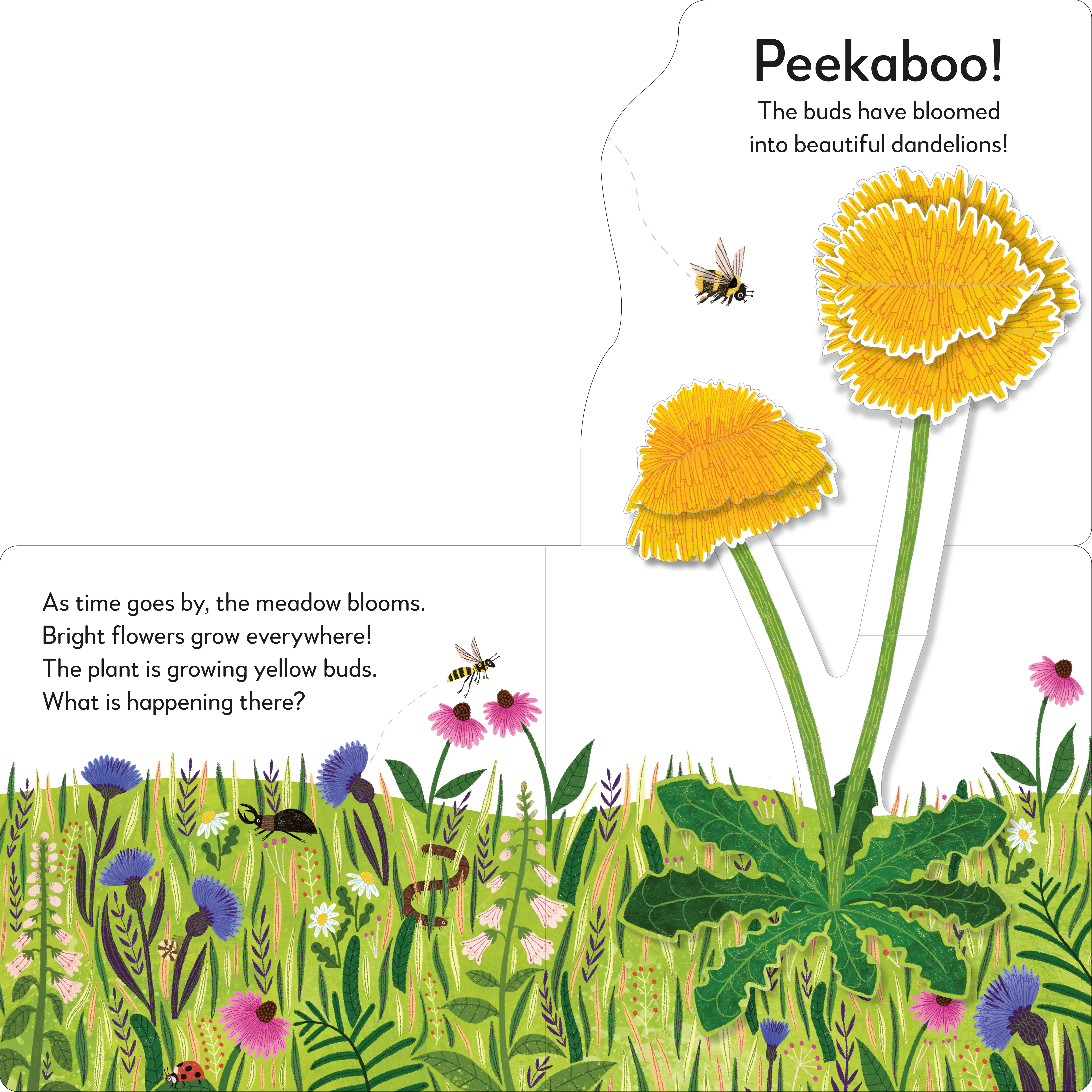 Pop-Up Peekaboo! Flower - Image 3