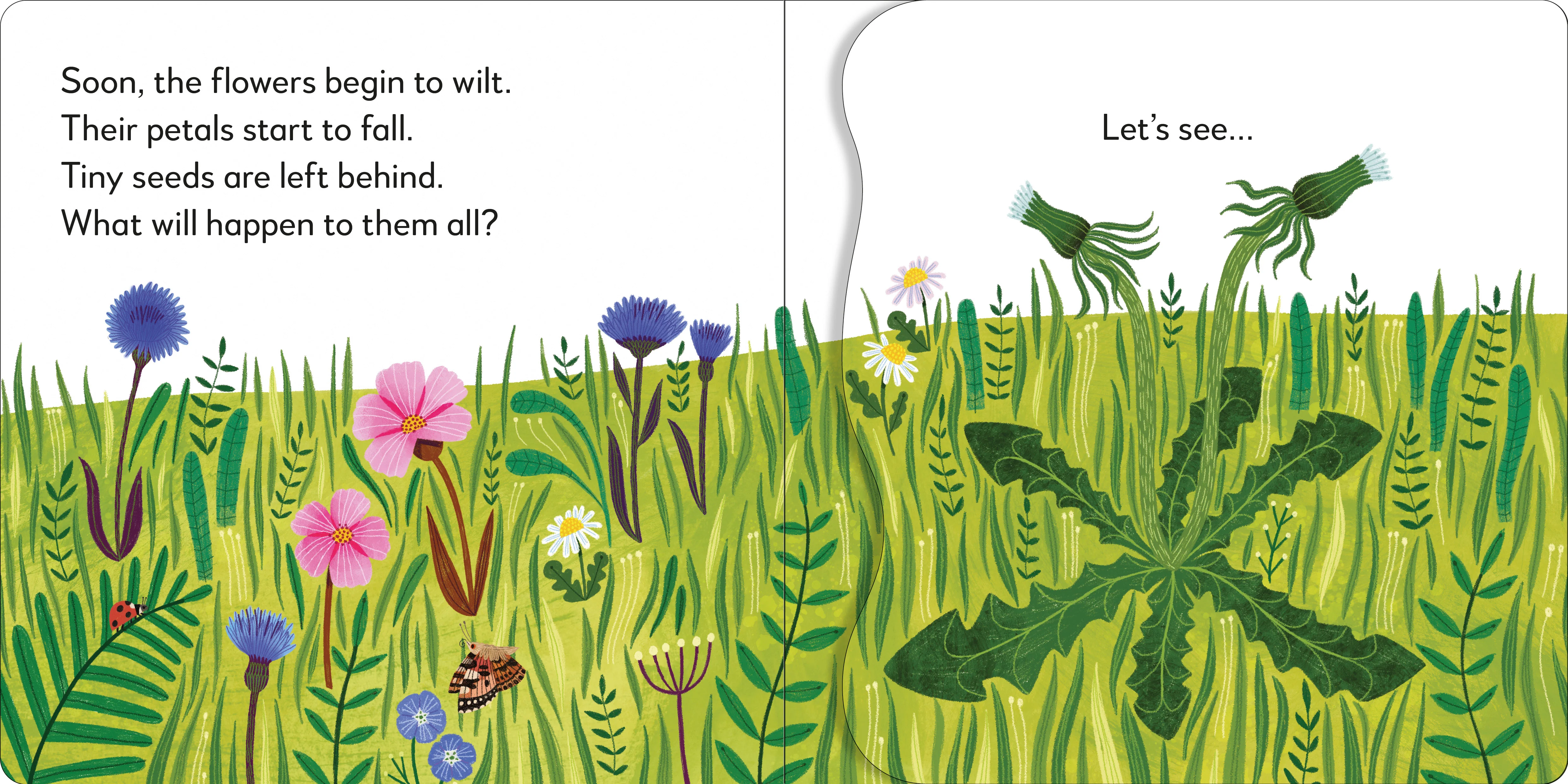Pop-Up Peekaboo! Flower - Image 4
