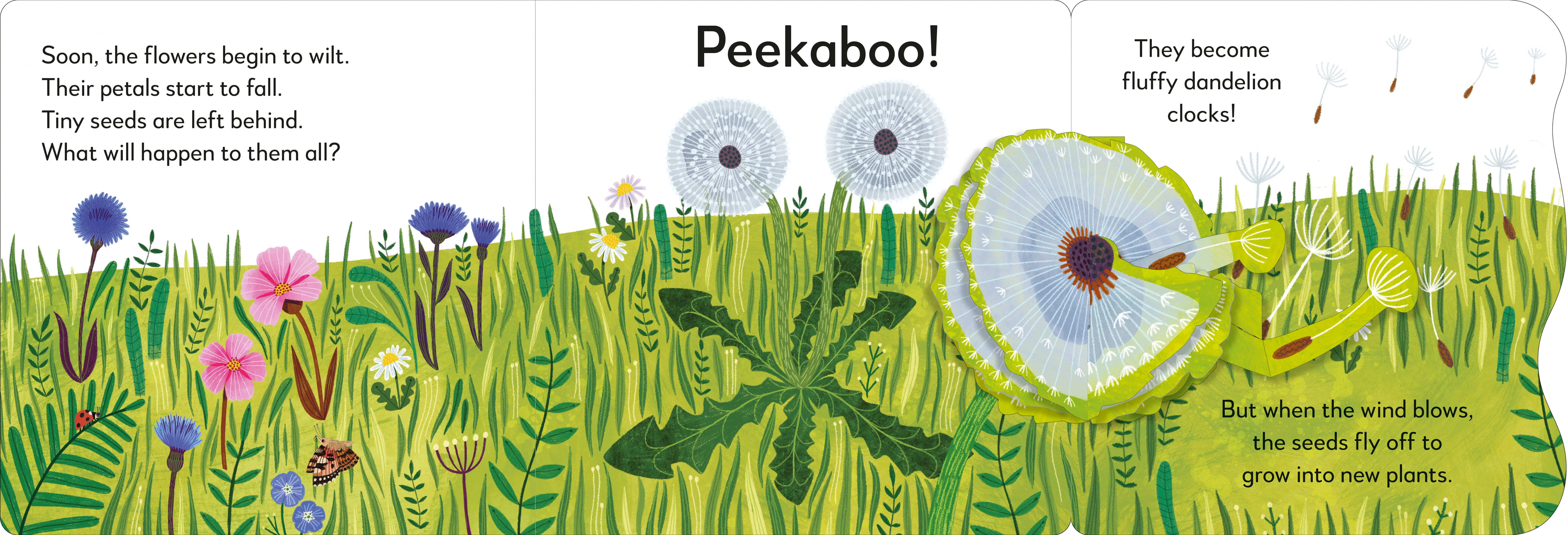 Pop-Up Peekaboo! Flower - Image 5