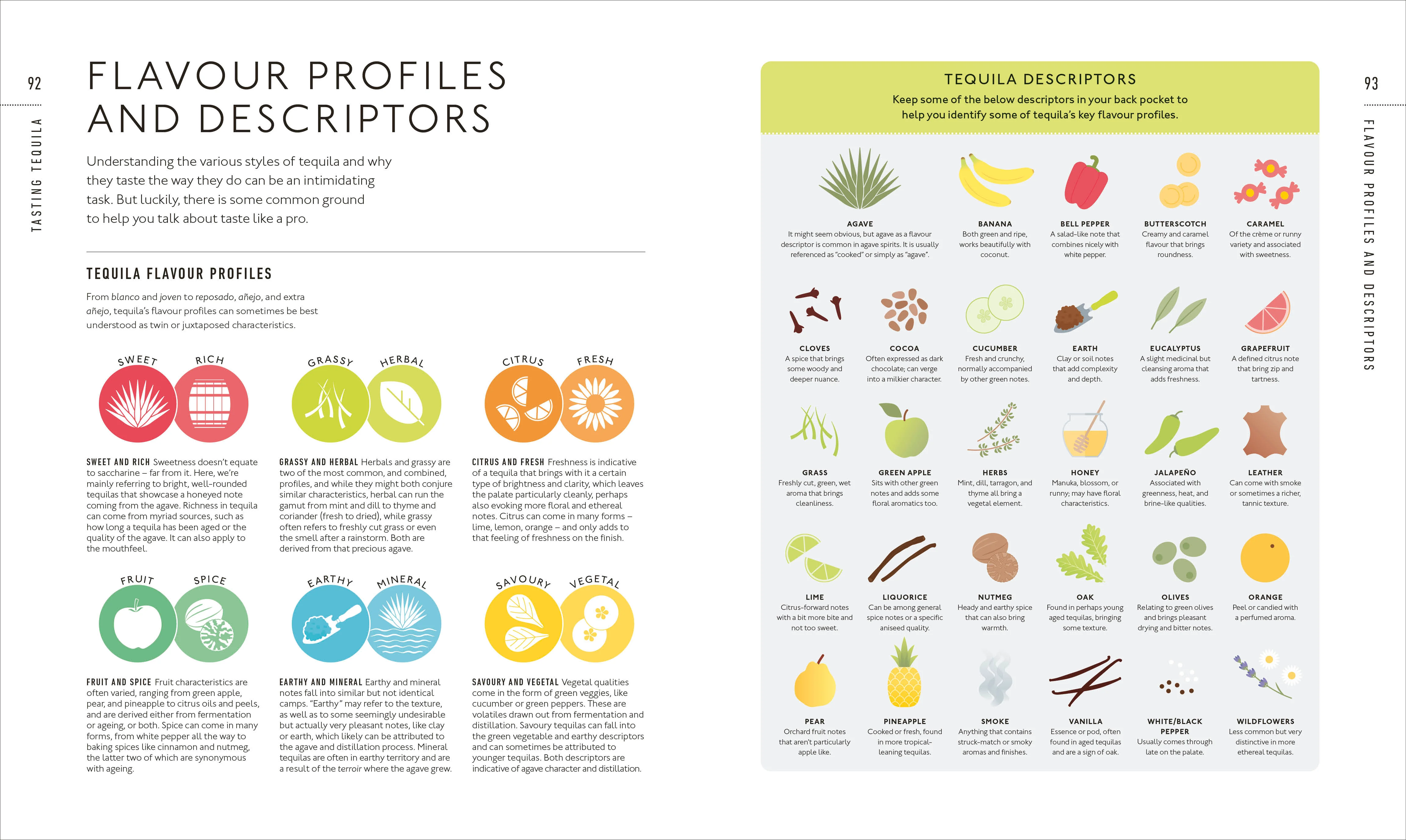 Tequila: A Tasting Course - Image 5