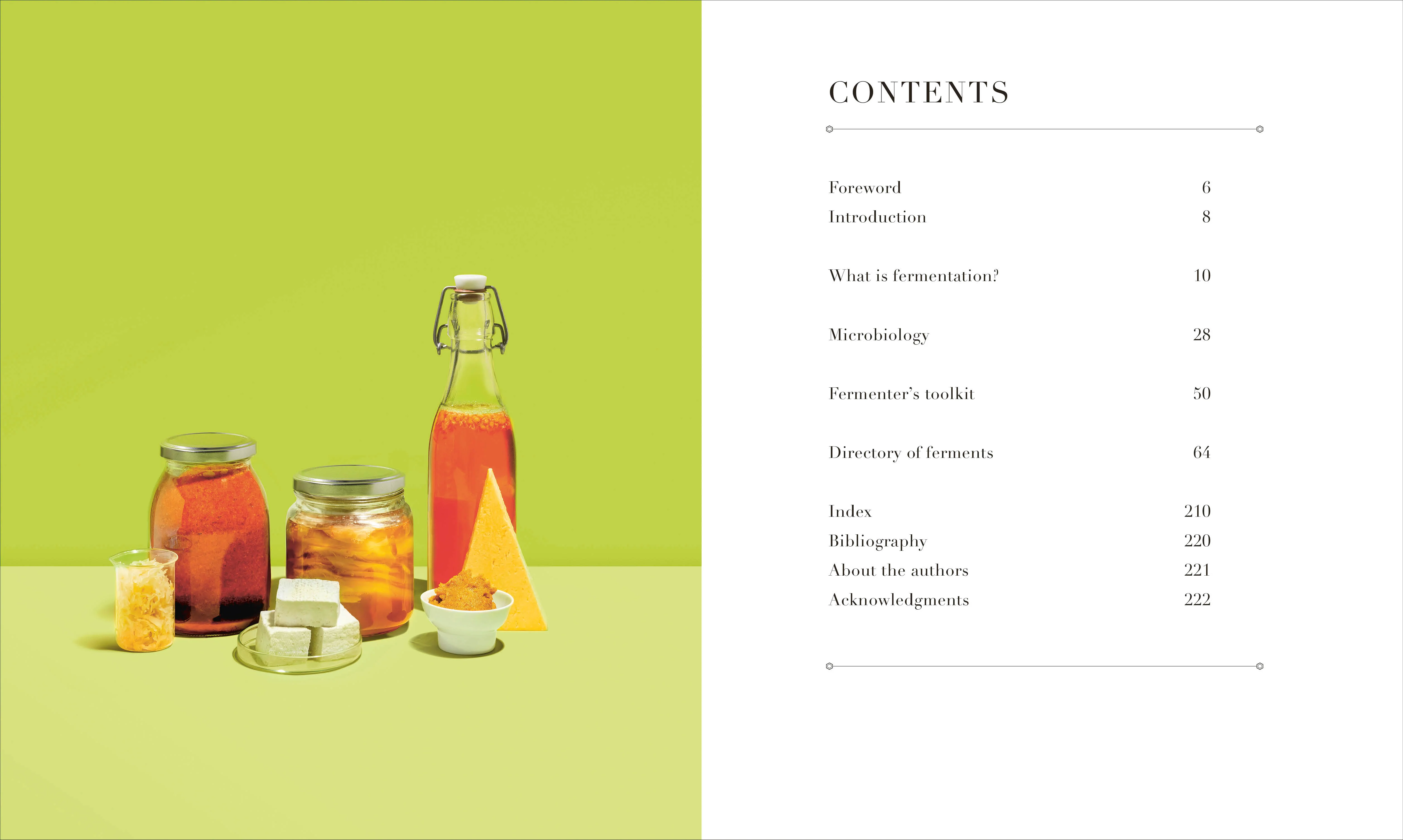 The Science of Fermentation - Image 2