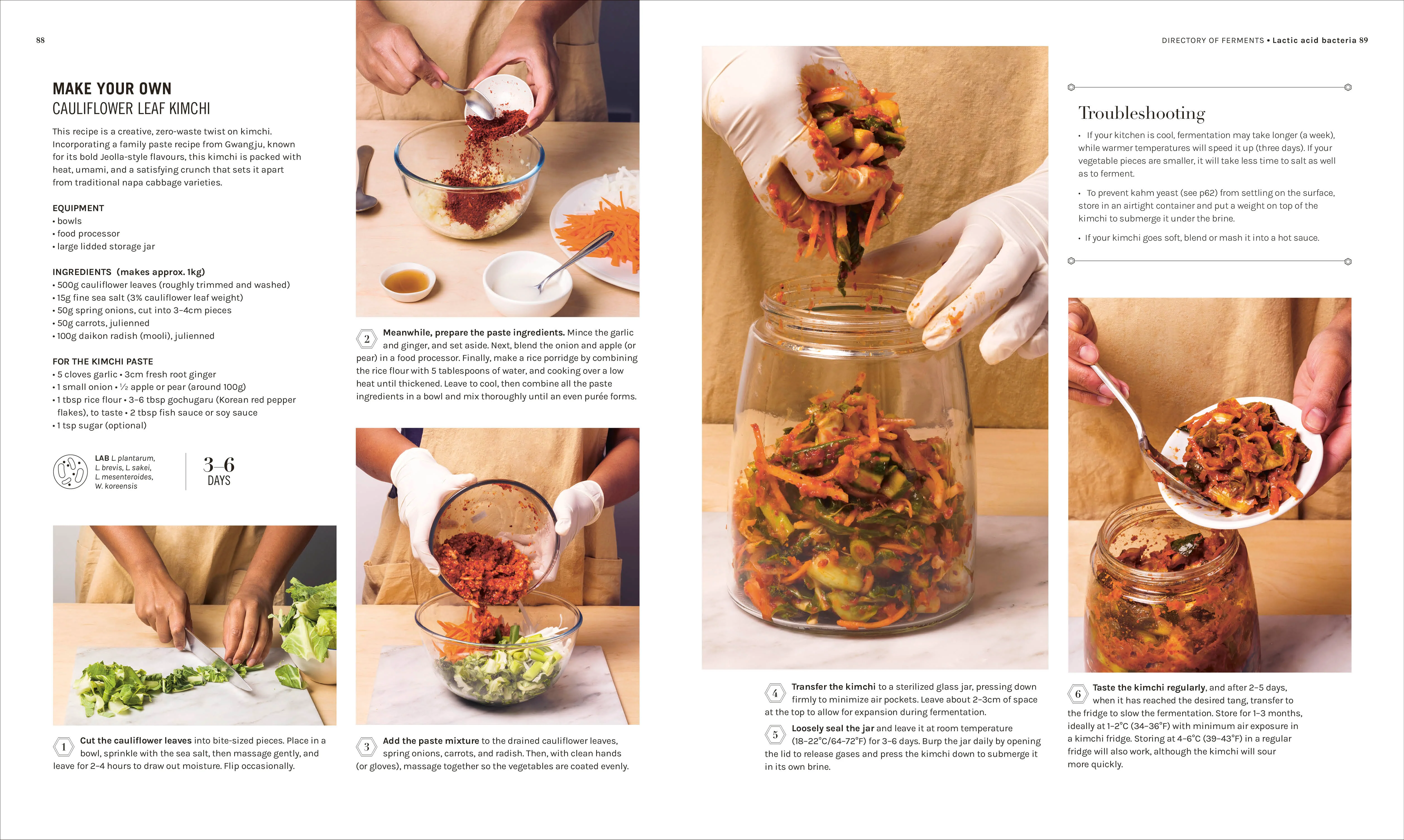 The Science of Fermentation - Image 6