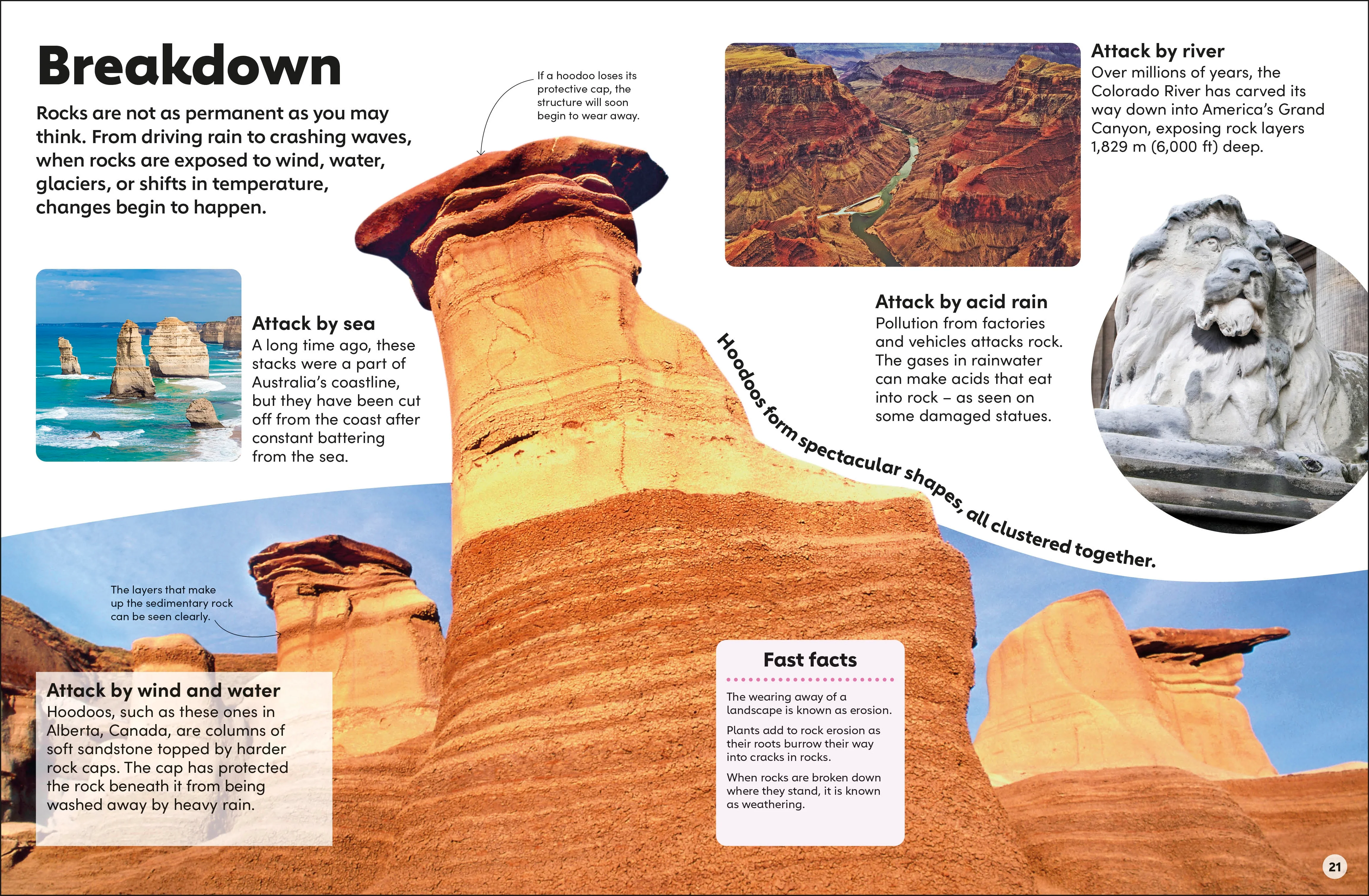 Eyewonder Rocks and Minerals - Image 3