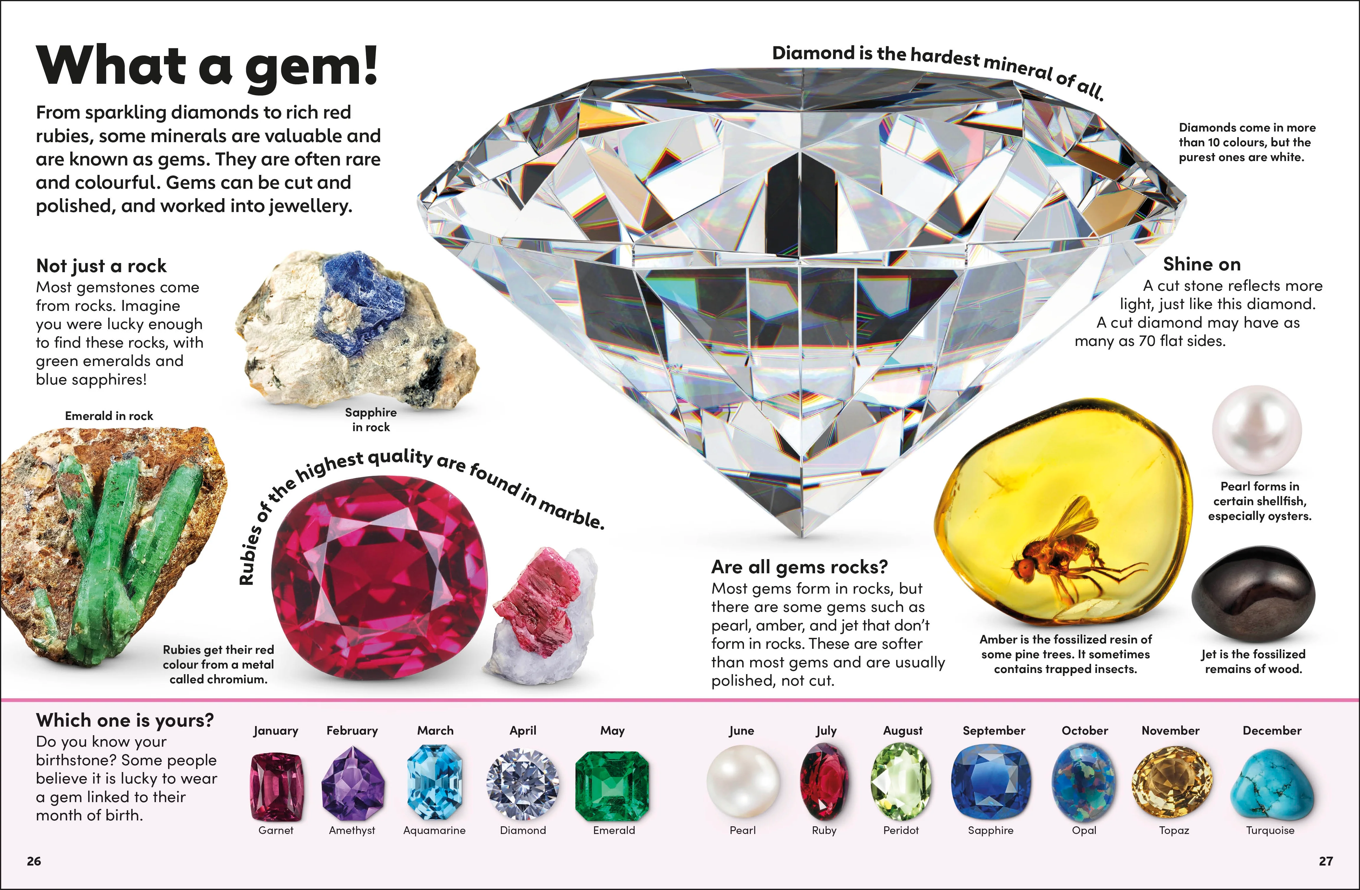 Eyewonder Rocks and Minerals - Image 4