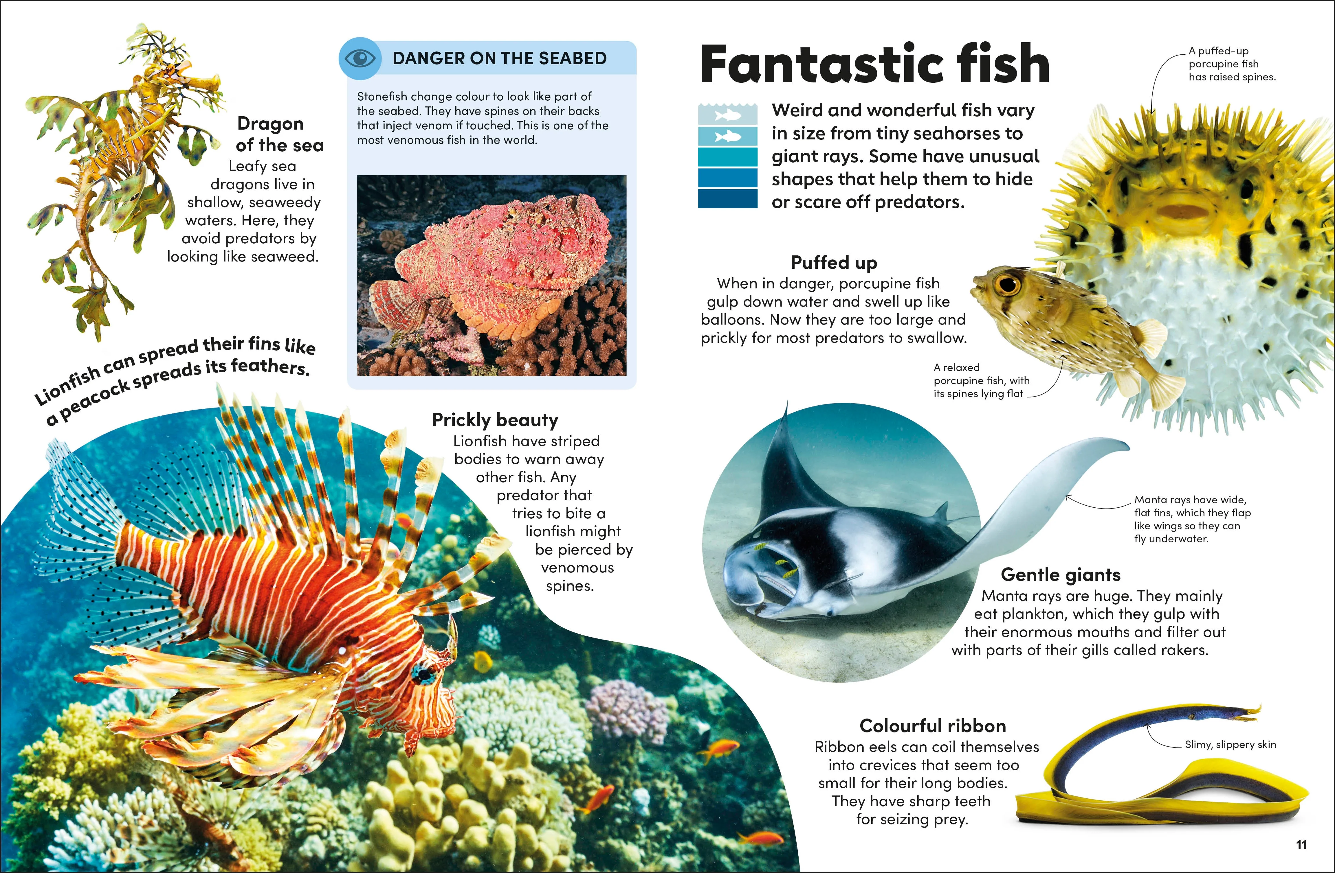 Eyewonder Oceans - Image 3