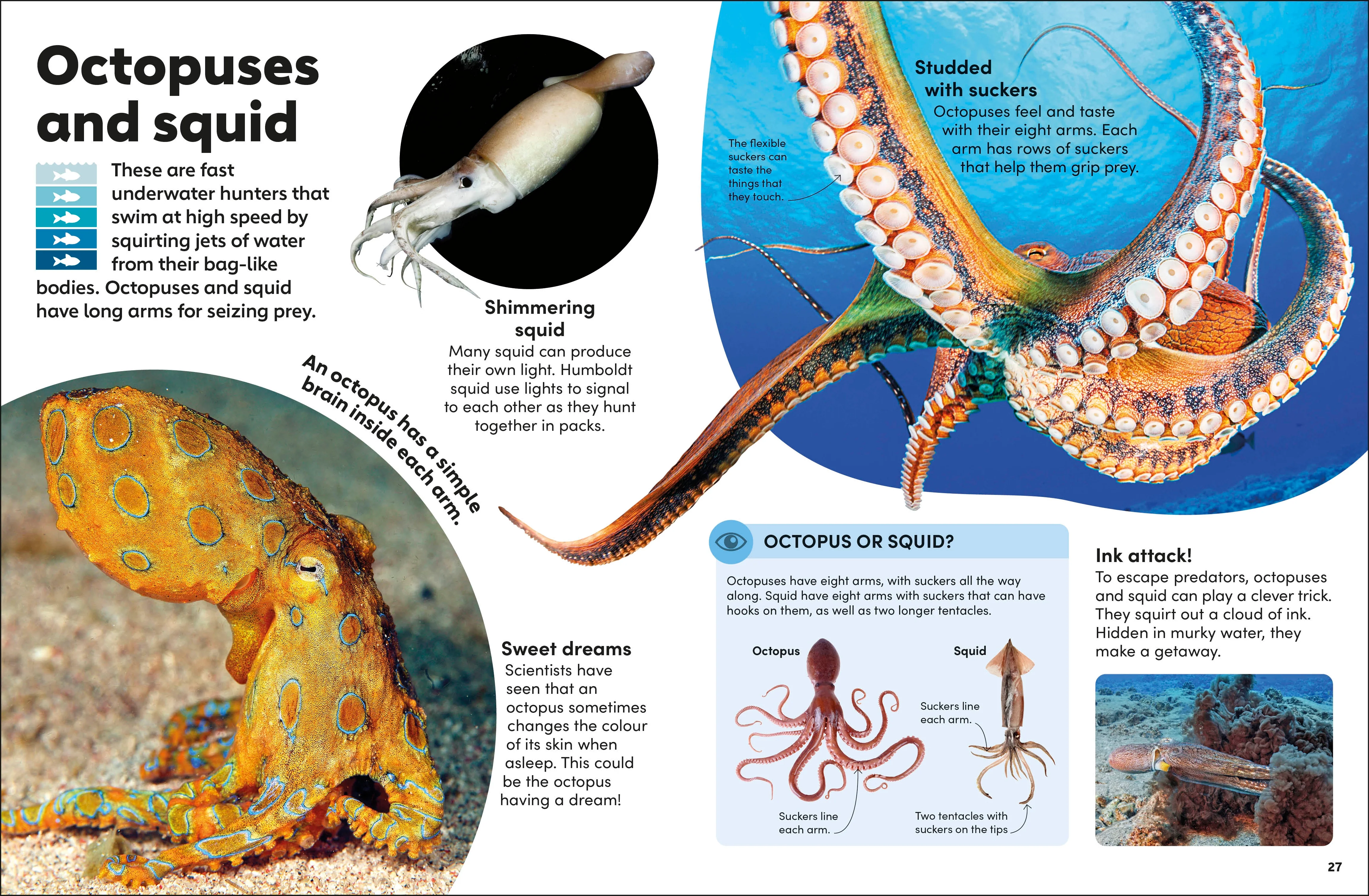 Eyewonder Oceans - Image 4