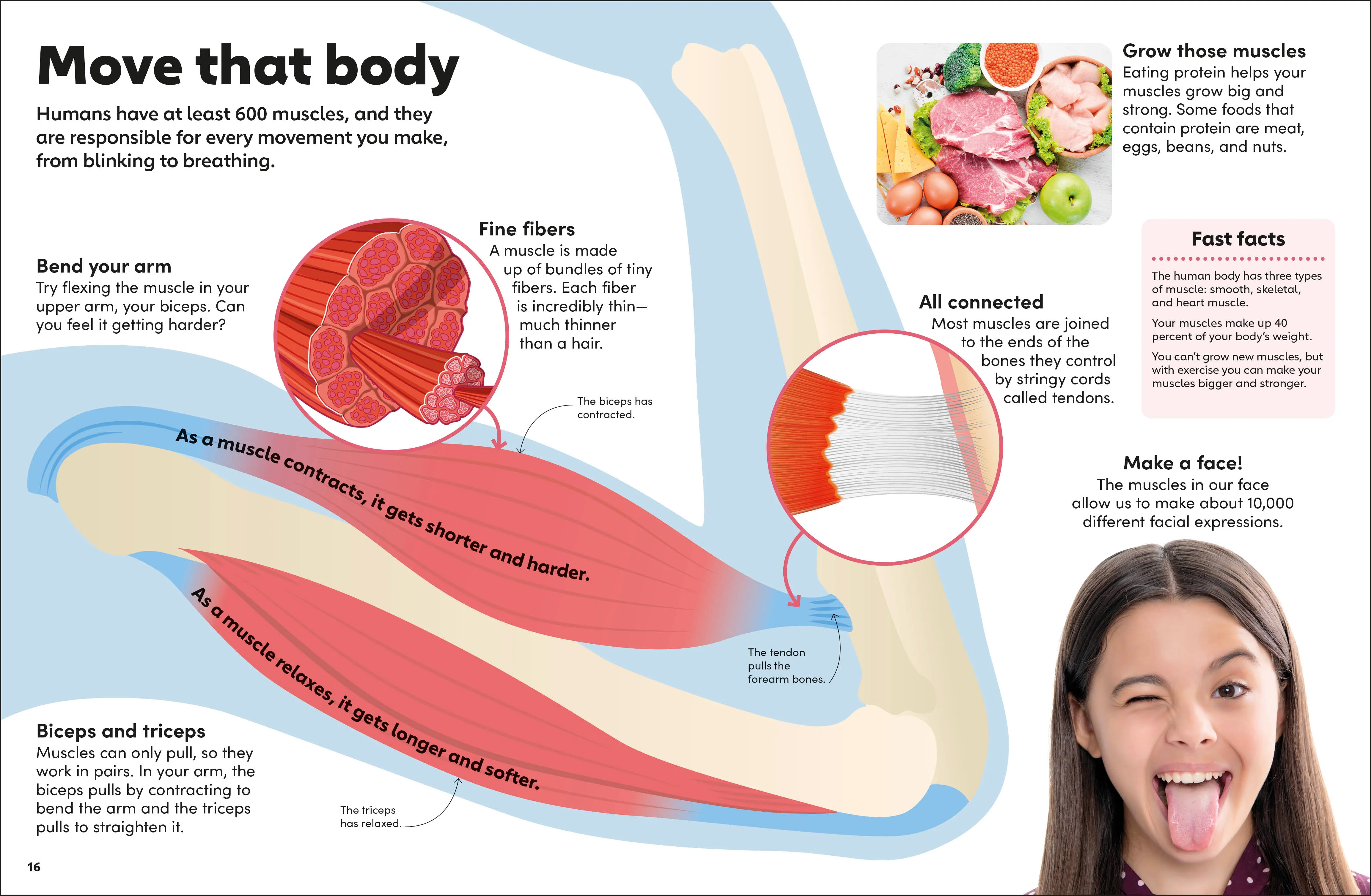 Eyewonder Human Body - Image 3