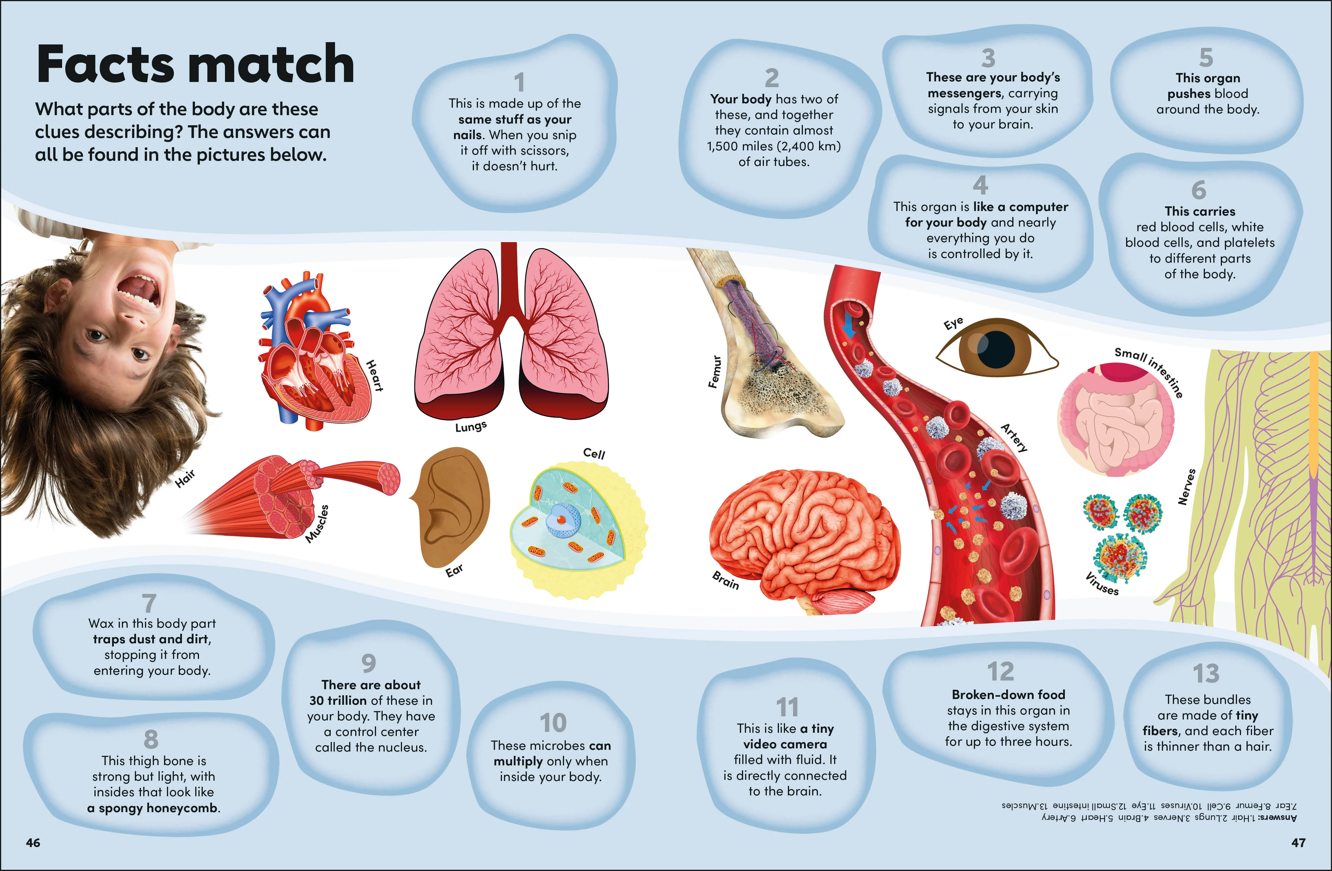 Eyewonder Human Body - Image 5