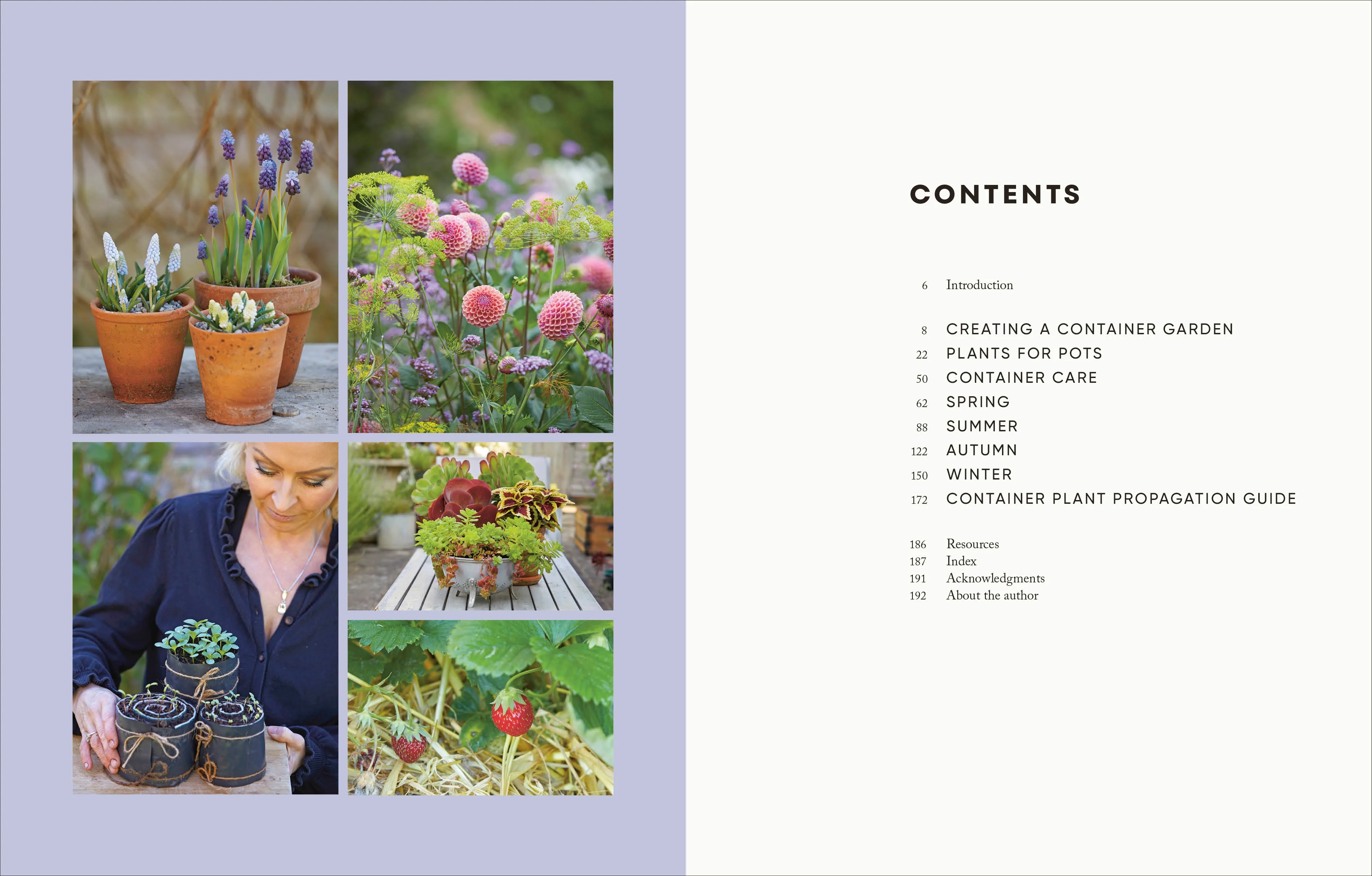 The Money-Saving Gardener Containers - Image 2