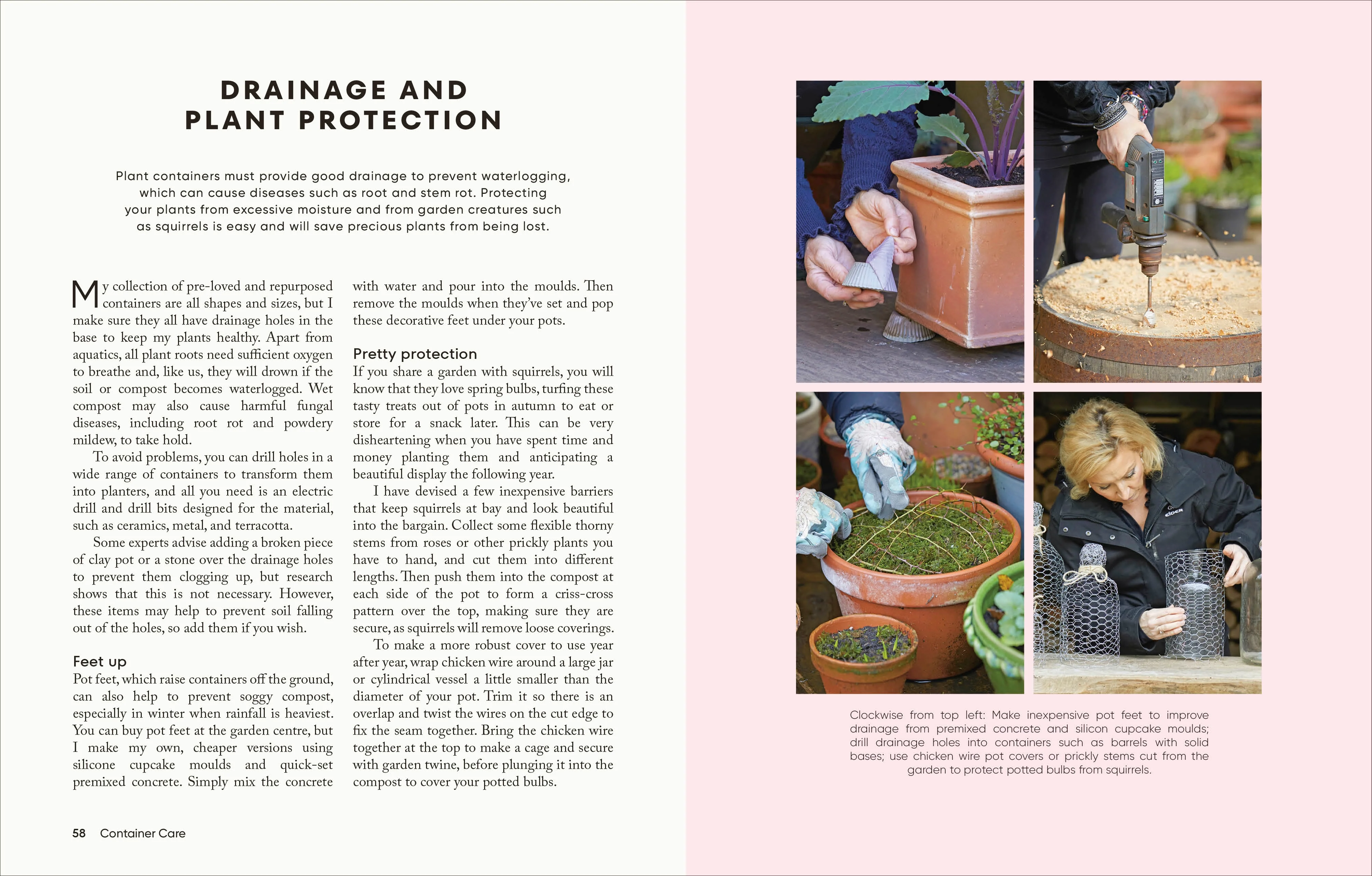 The Money-Saving Gardener Containers - Image 3
