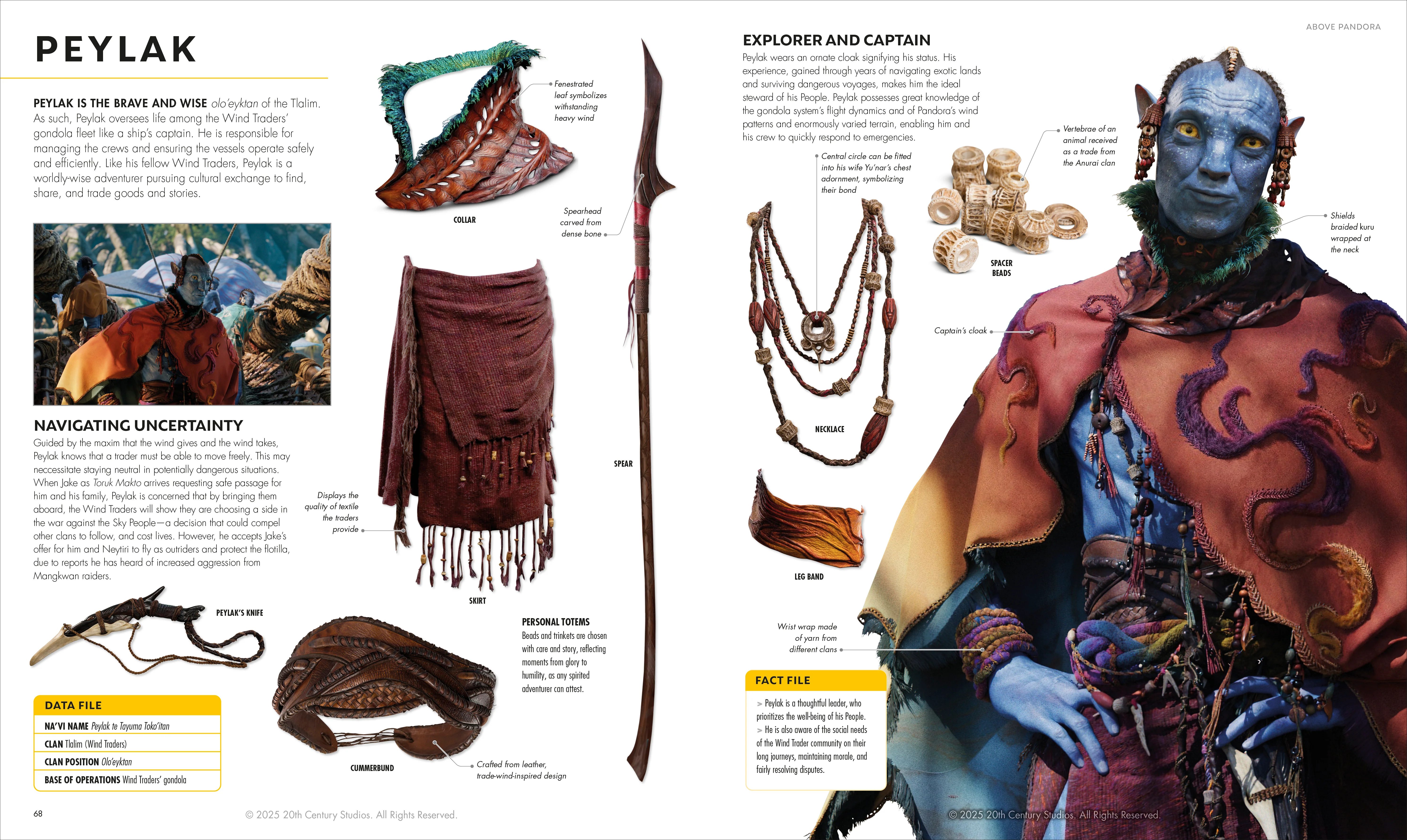 Avatar Fire and Ash The Visual Dictionary - Image 4