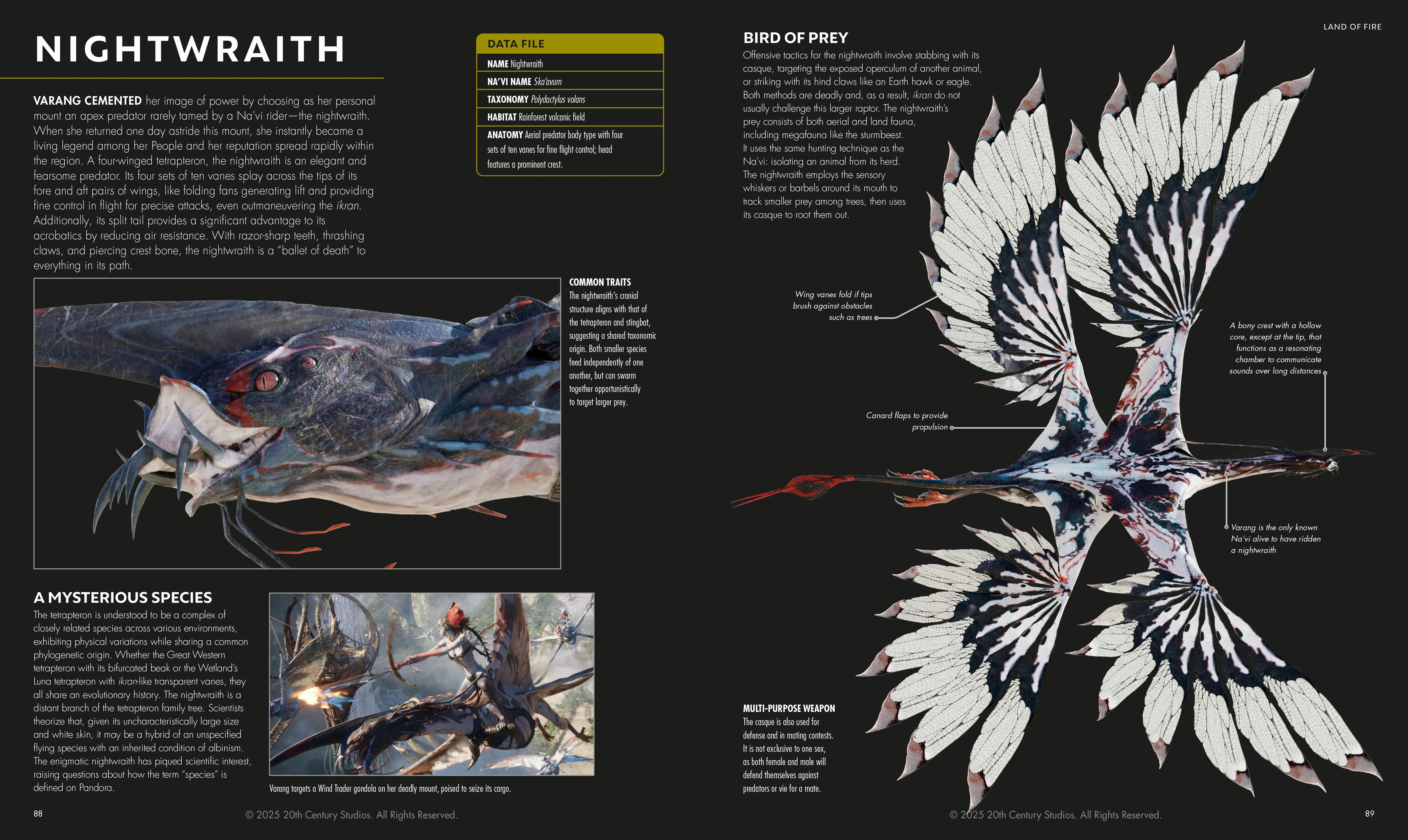 Avatar Fire and Ash The Visual Dictionary - Image 5
