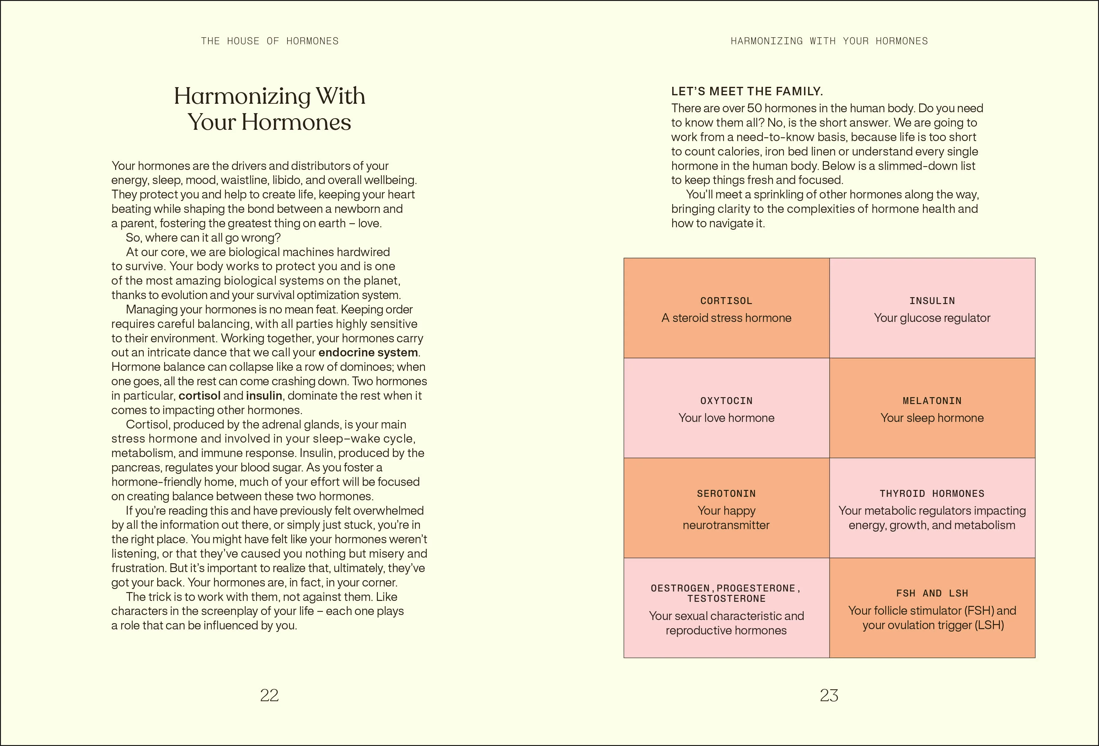 Everything I Know About Hormones - Image 3