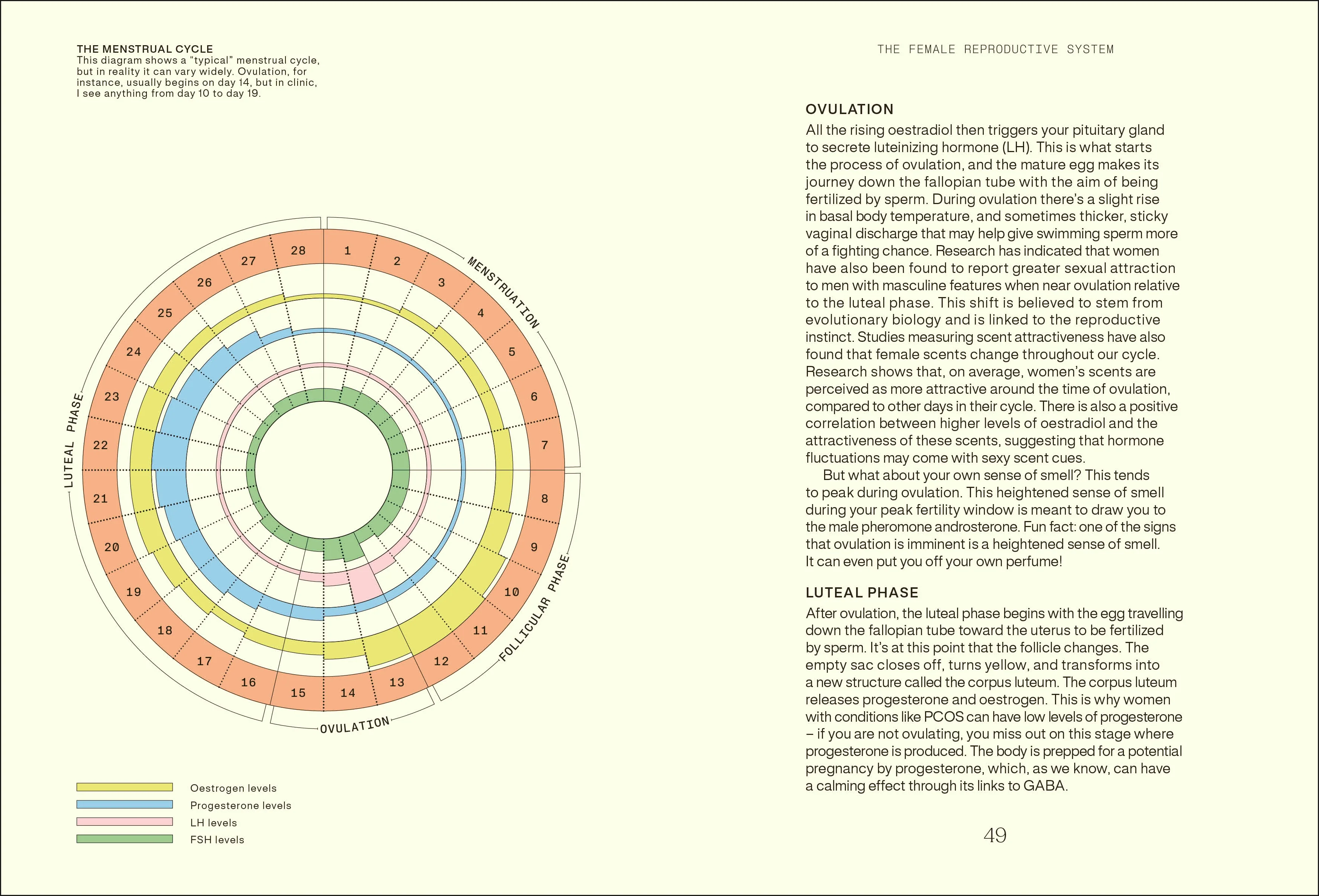 Everything I Know About Hormones - Image 4
