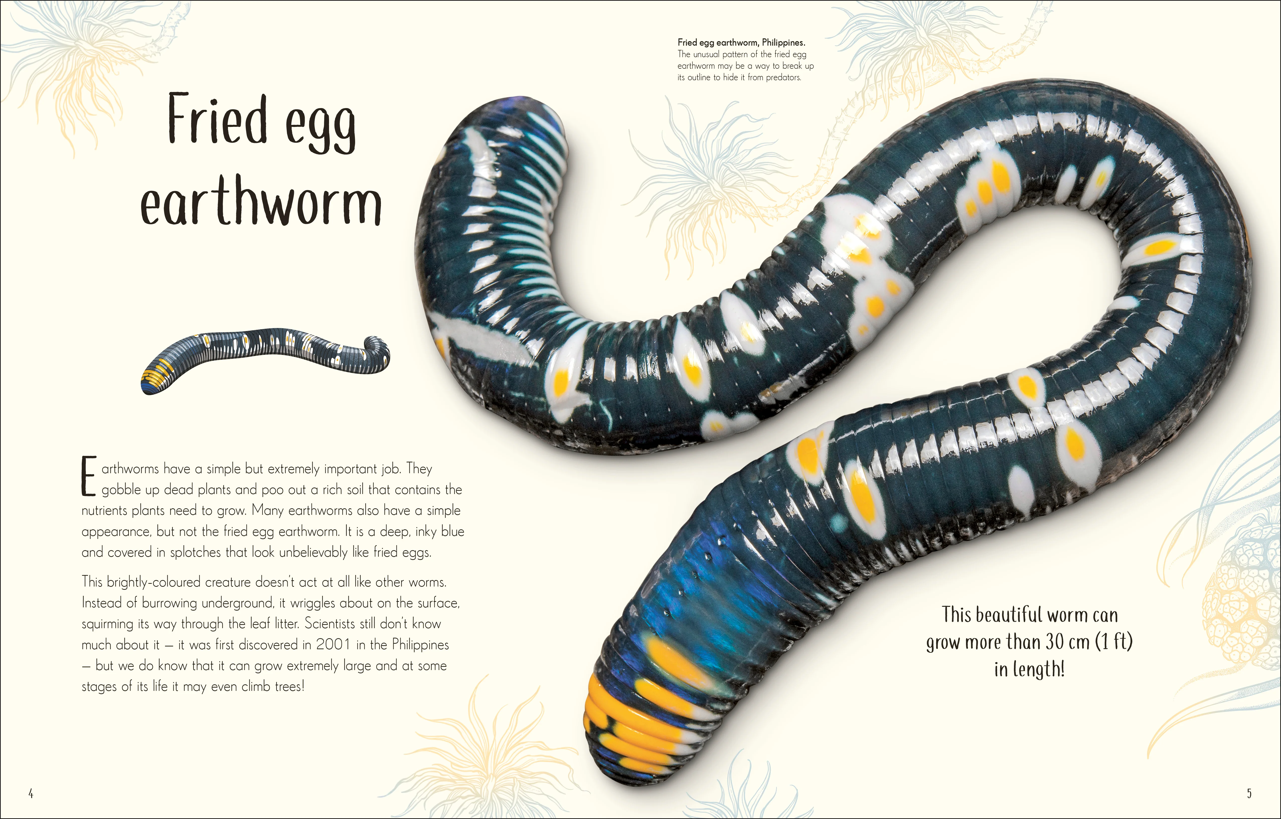 An Anthology of Remarkable Bugs - Image 2