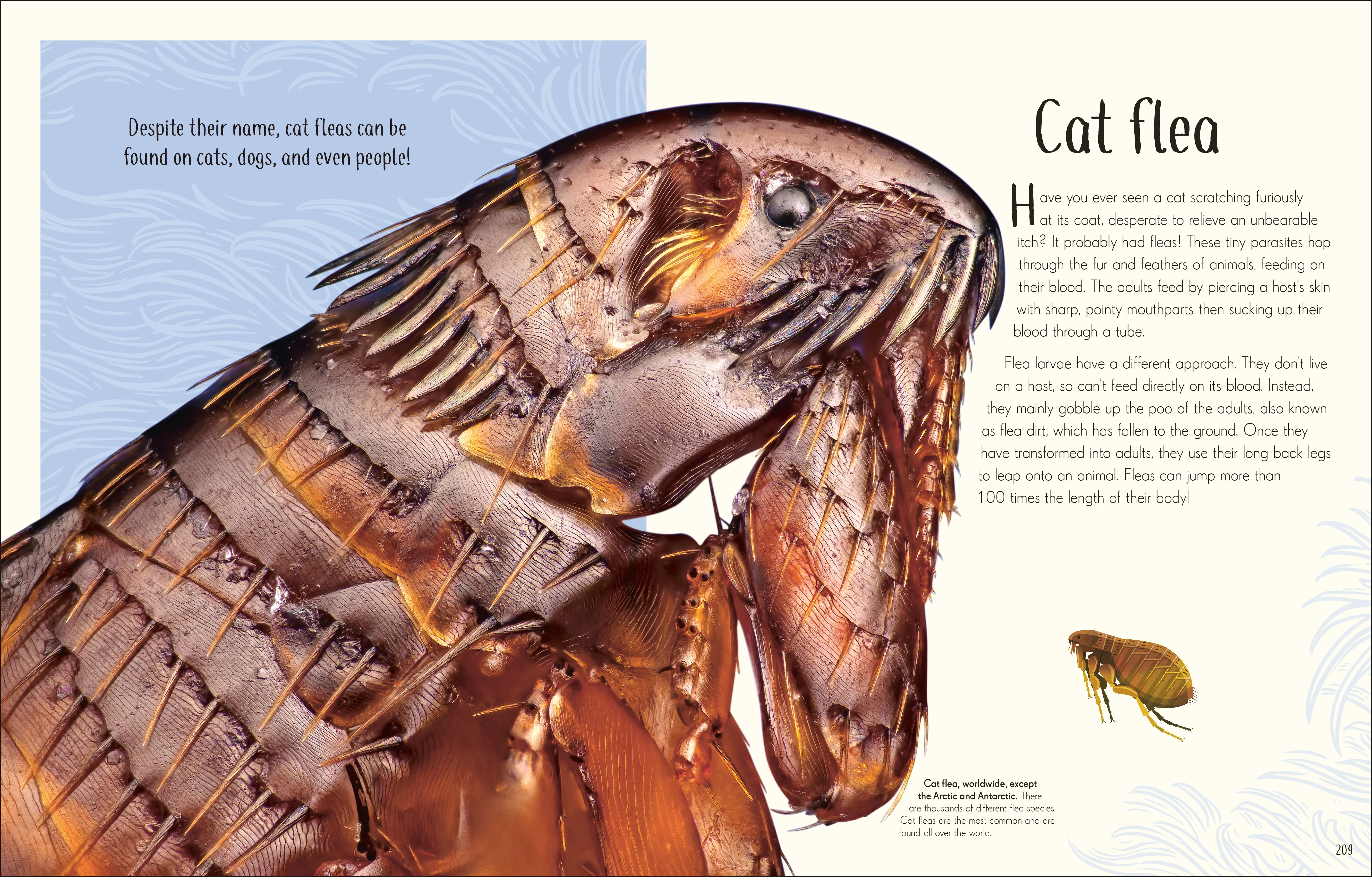 An Anthology of Remarkable Bugs - Image 9