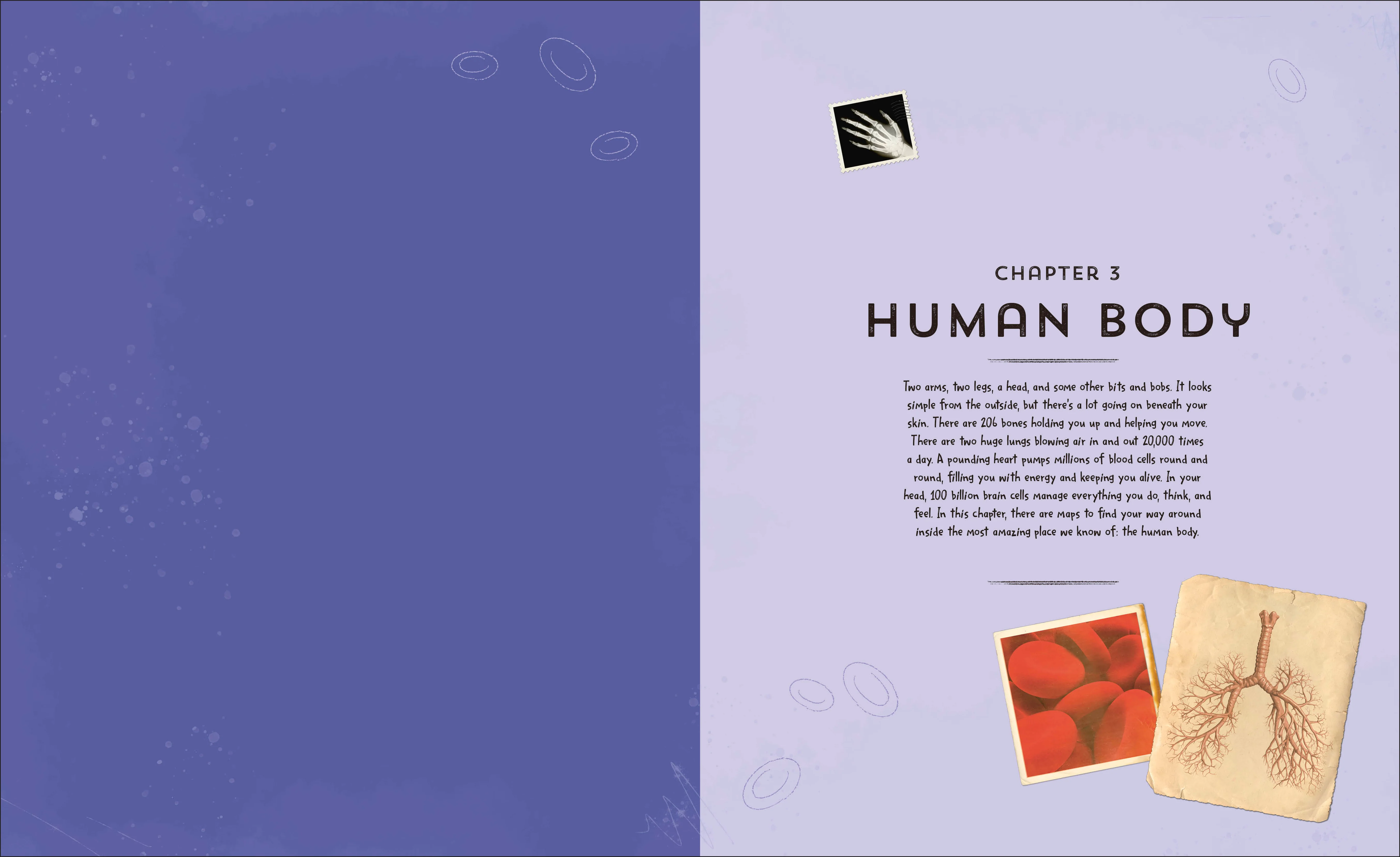 Explore: Science - Image 4