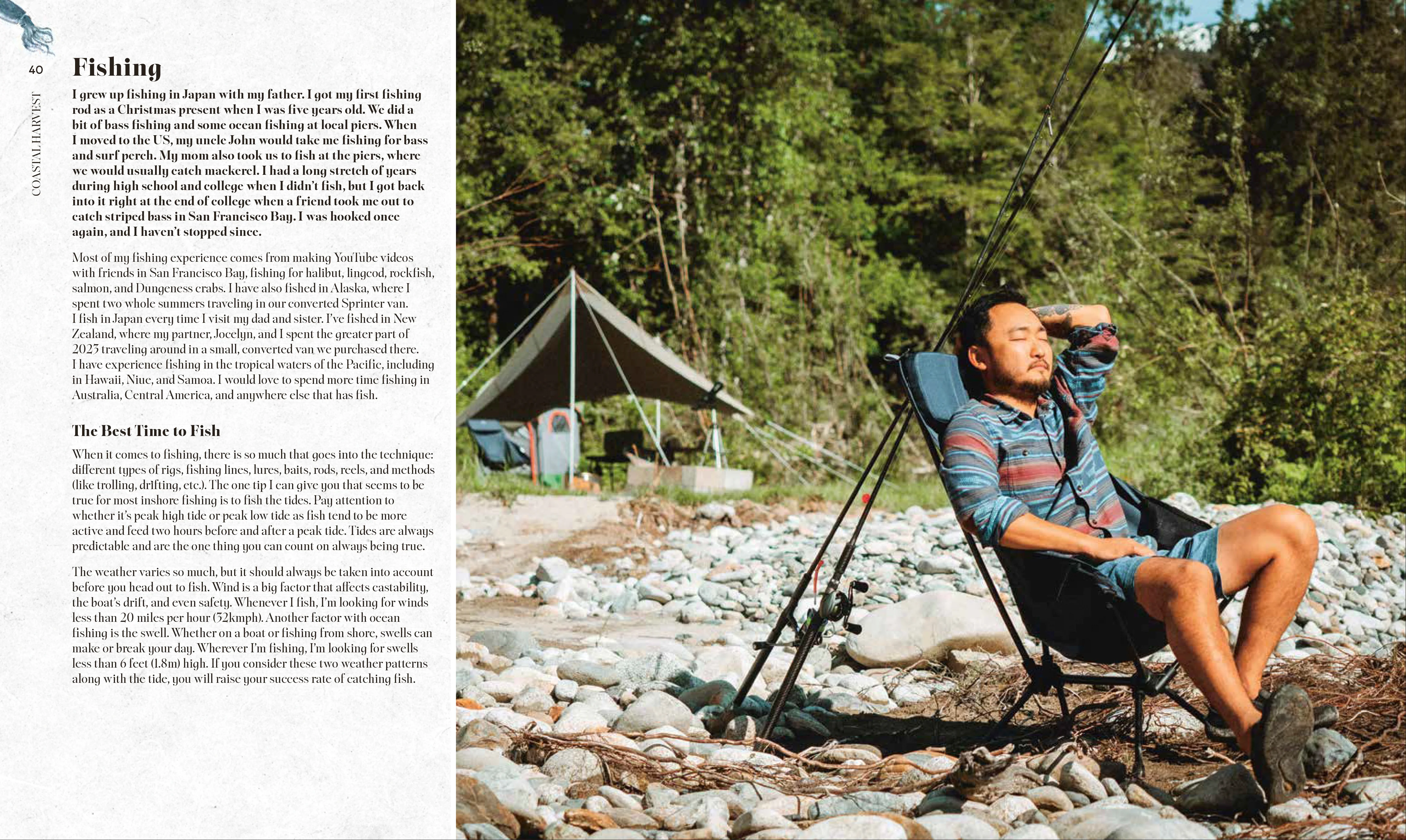 Coastal Harvest - Image 4