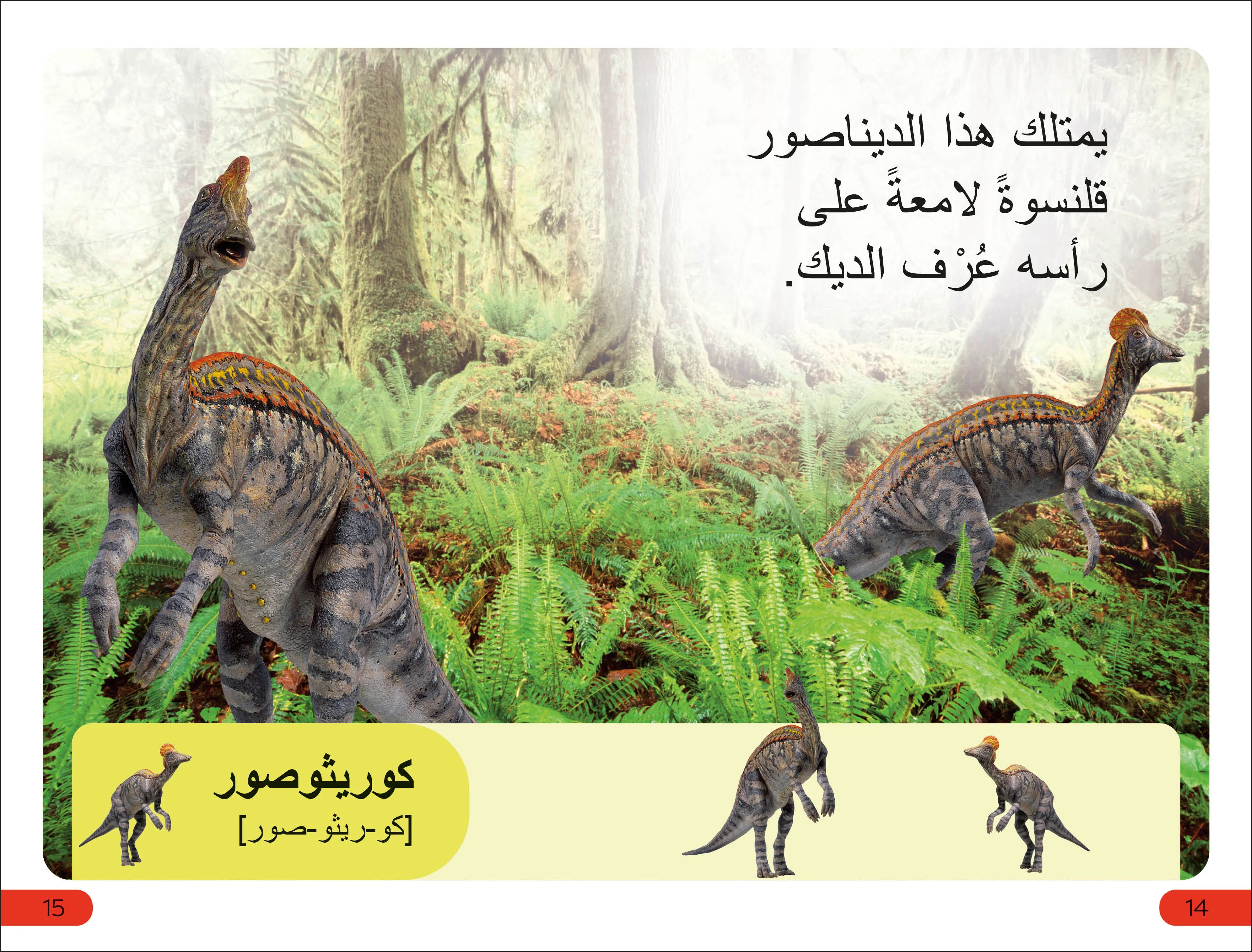 DK Super Readers Pre-level Meet the Dinosaurs (Arabic translation) - Image 4