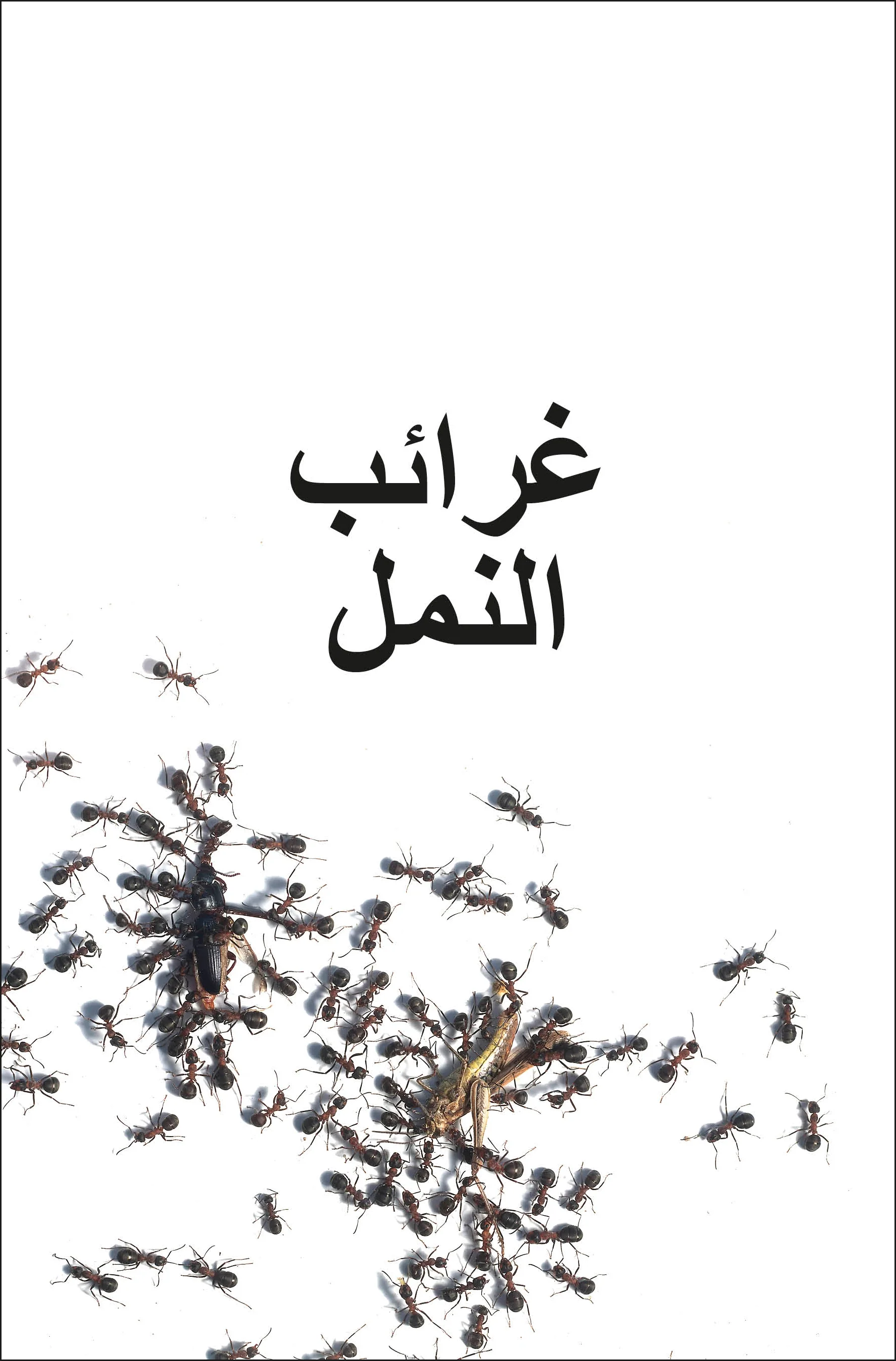 DK Super Readers Level 3 Ant Antics (Arabic translation) - Image 2