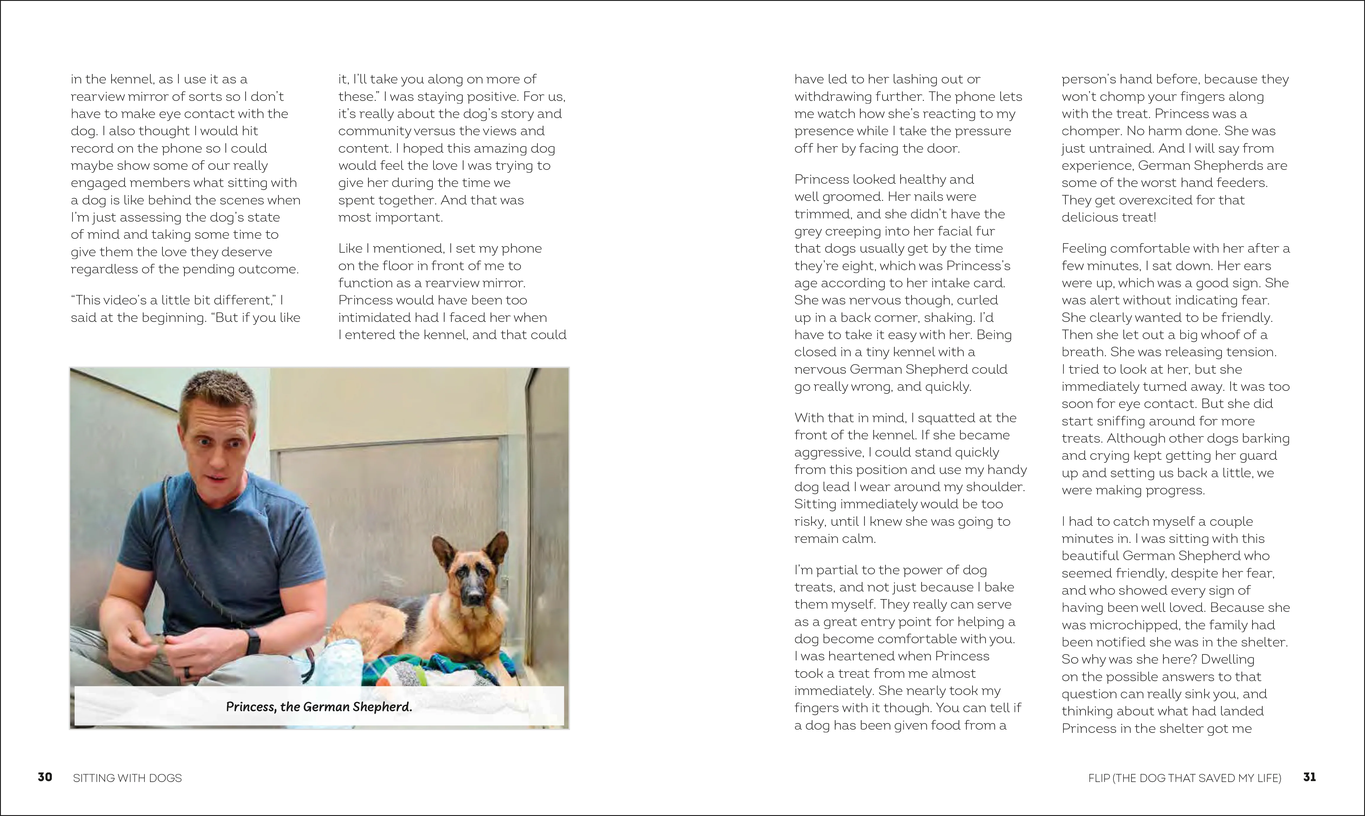 Sitting with Dogs - Image 3