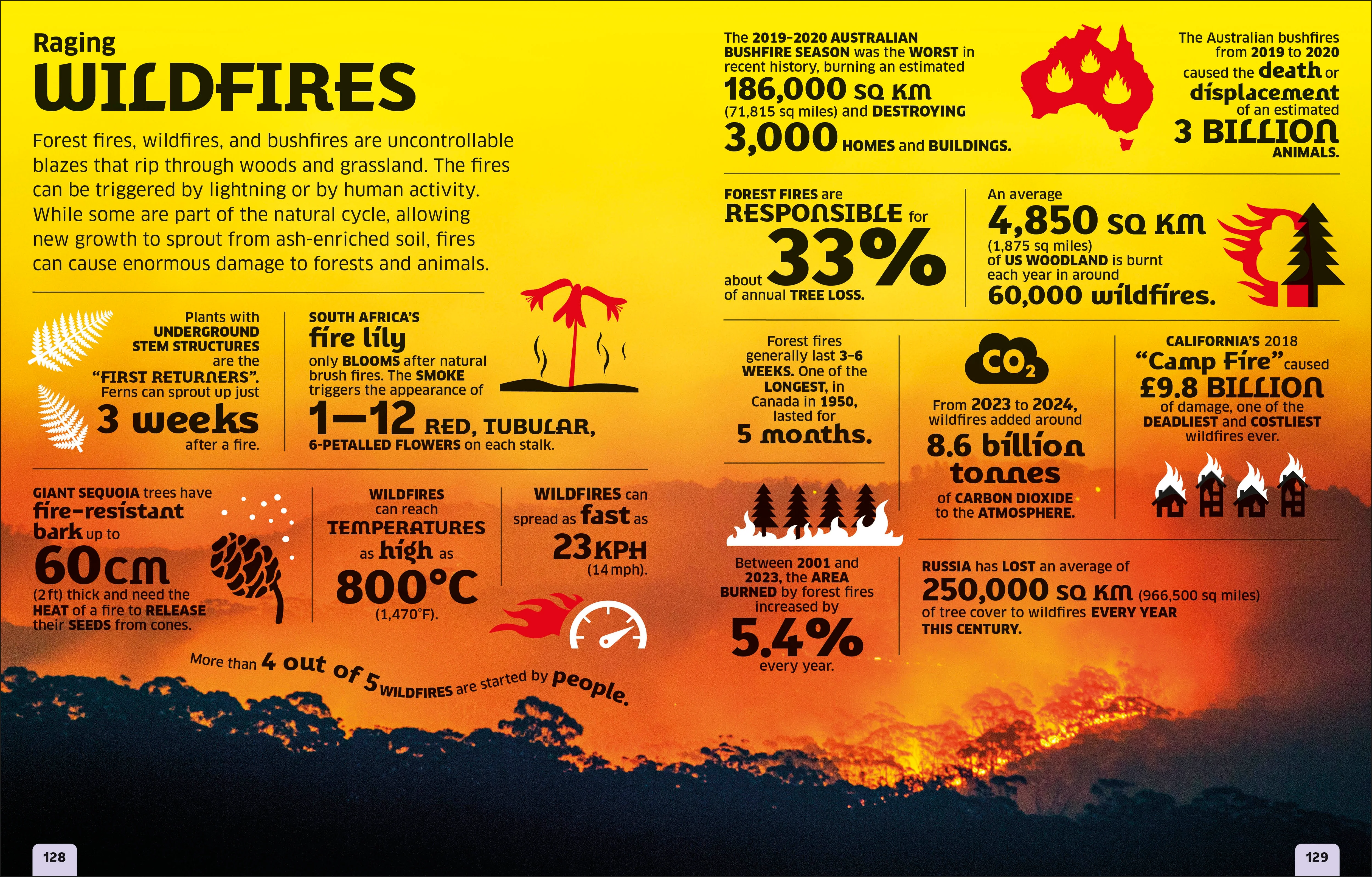 Our World in Numbers Planet Earth - Image 3